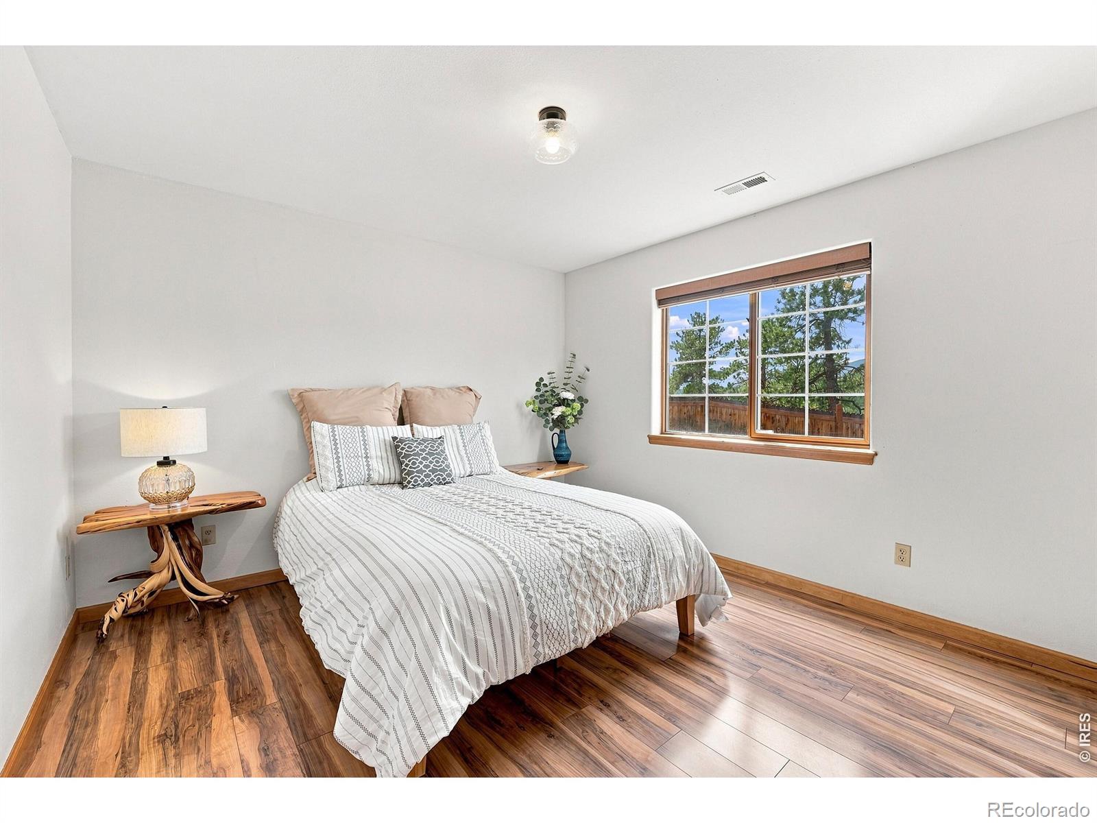 MLS Image #20 for 313  deer trail drive,bailey, Colorado