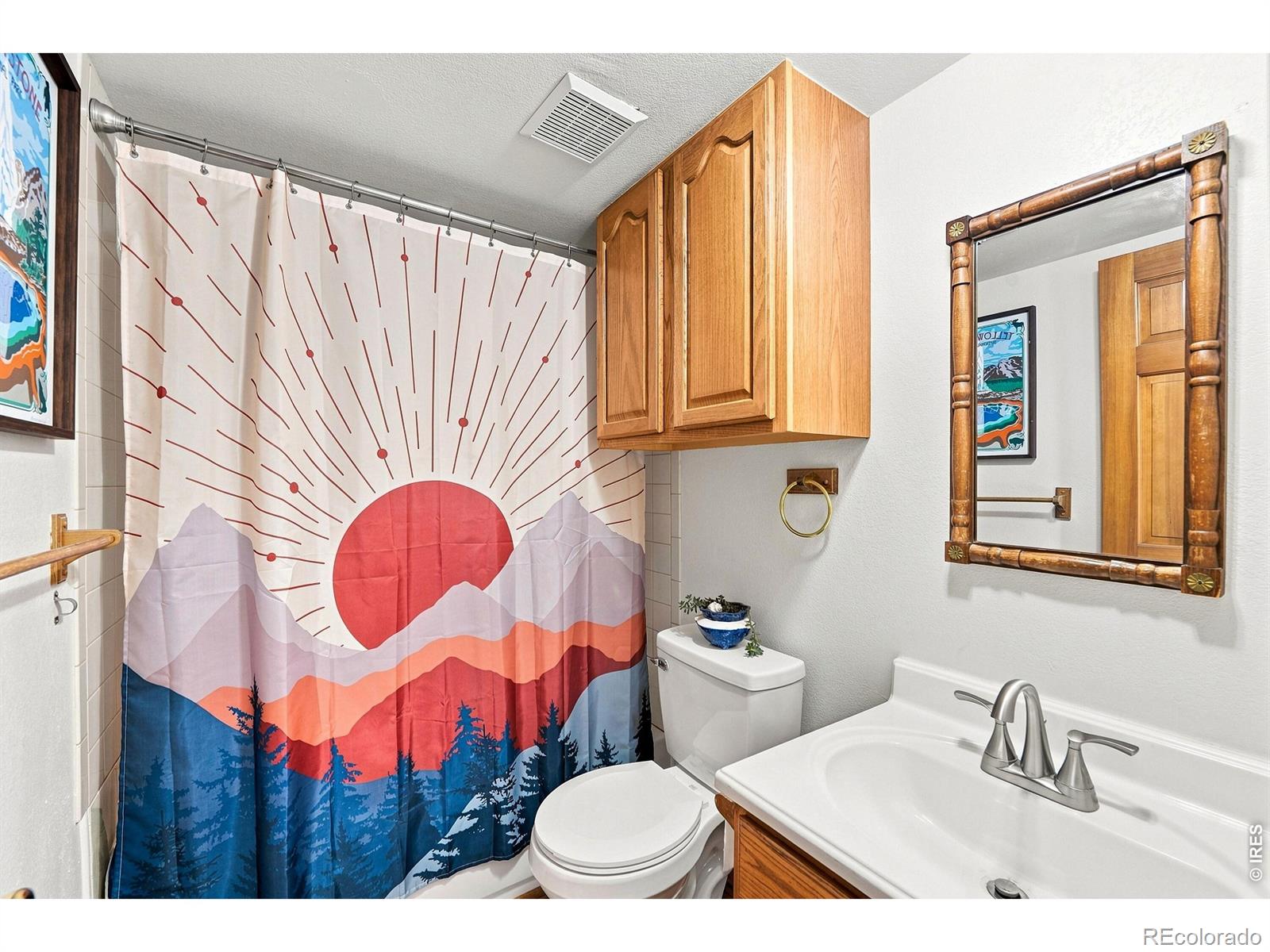 MLS Image #22 for 313  deer trail drive,bailey, Colorado