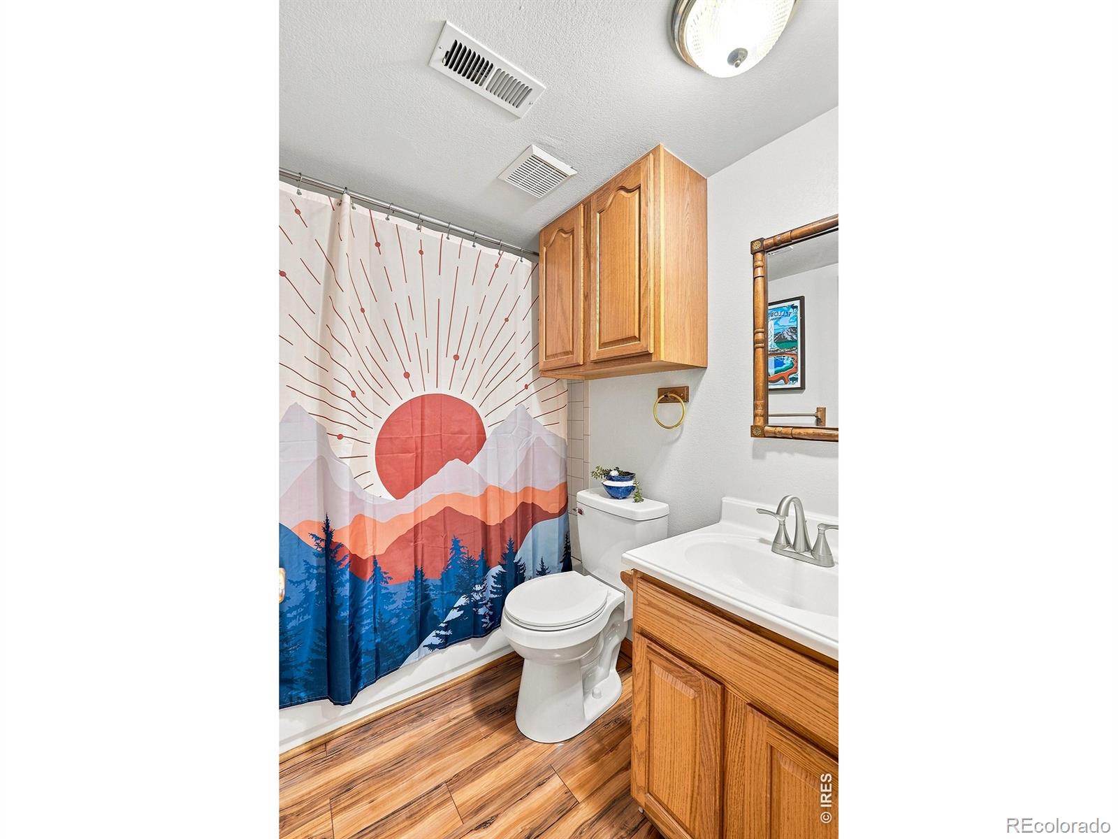 MLS Image #23 for 313  deer trail drive,bailey, Colorado