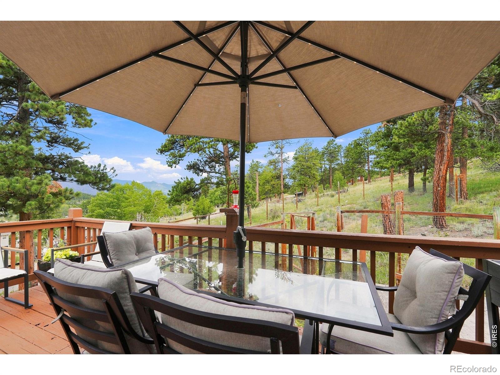 MLS Image #25 for 313  deer trail drive,bailey, Colorado