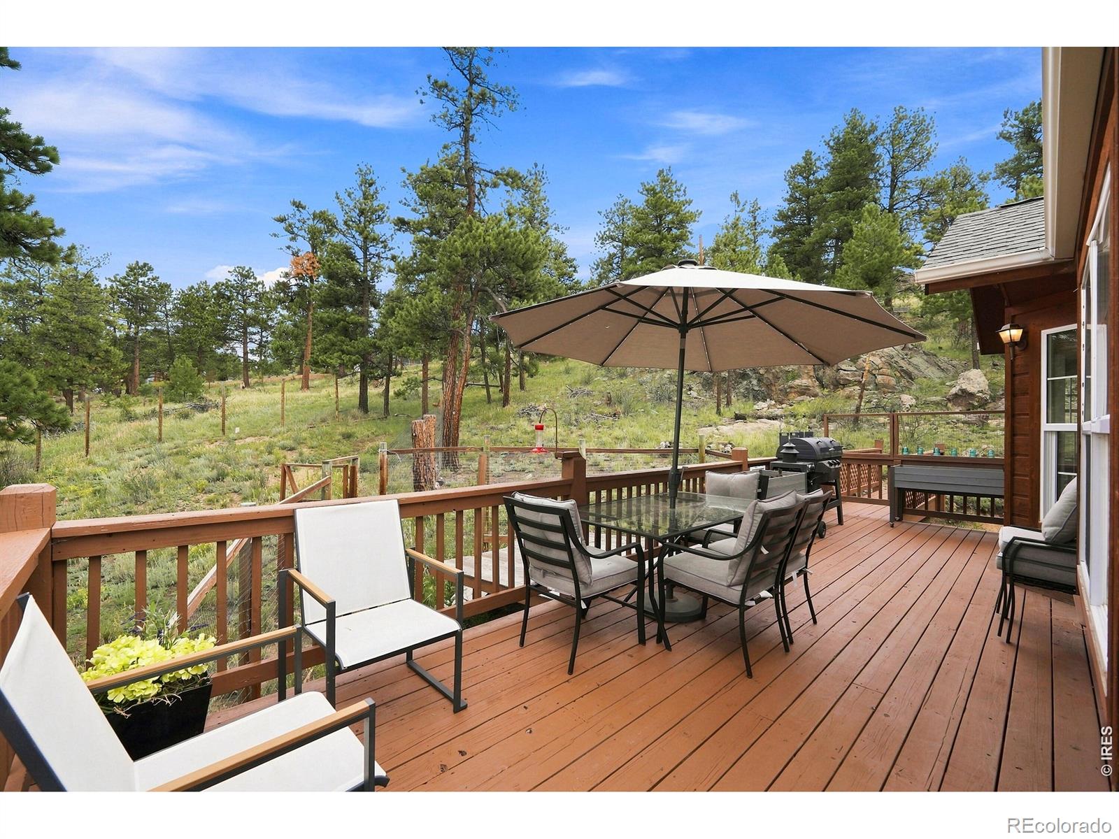 MLS Image #28 for 313  deer trail drive,bailey, Colorado
