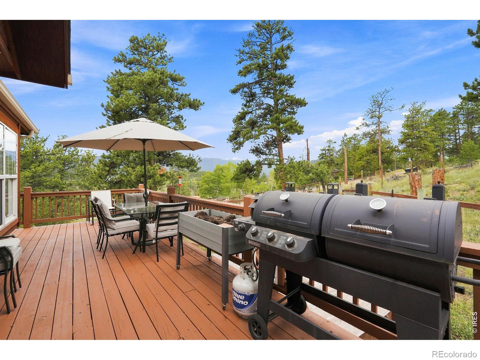 MLS Image #29 for 313  deer trail drive,bailey, Colorado