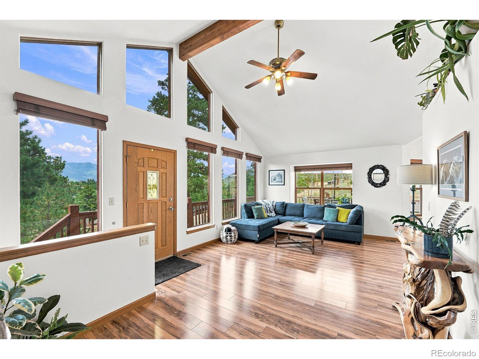 MLS Image #3 for 313  deer trail drive,bailey, Colorado