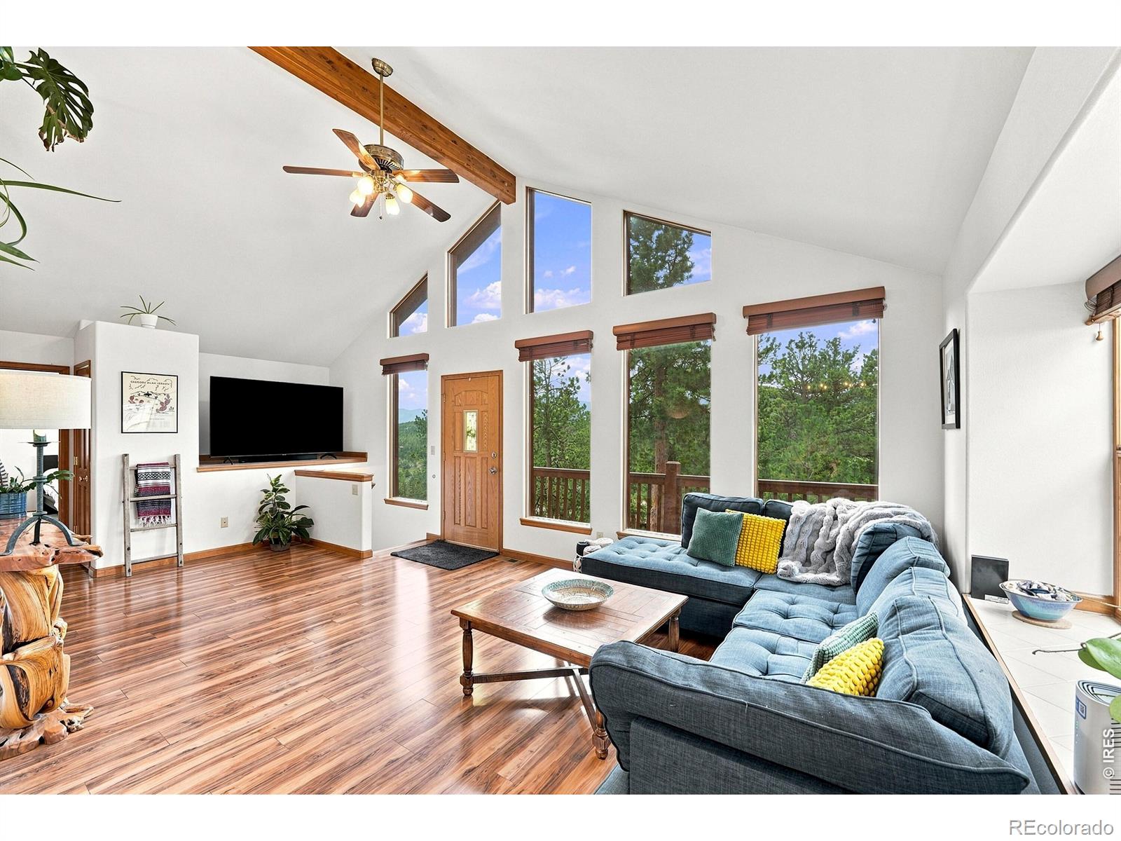 MLS Image #4 for 313  deer trail drive,bailey, Colorado