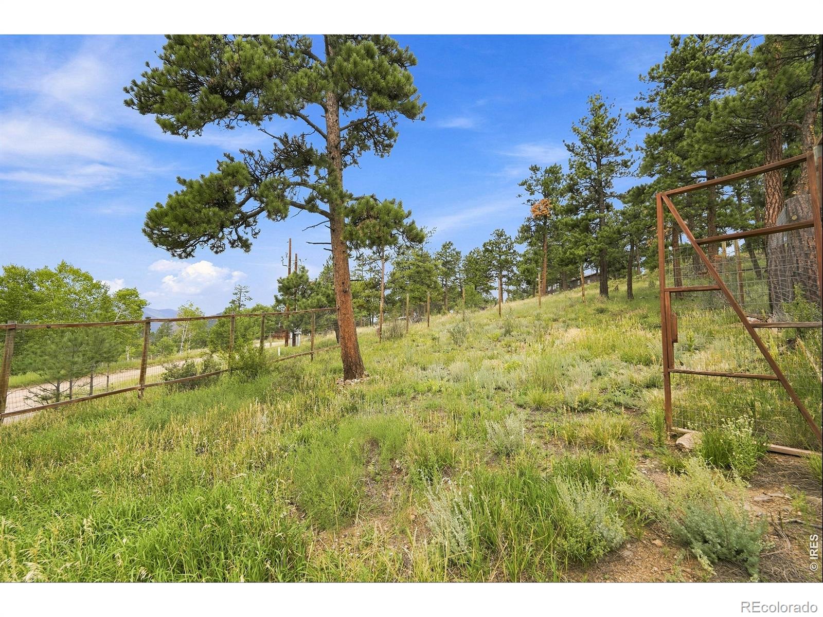 MLS Image #40 for 313  deer trail drive,bailey, Colorado
