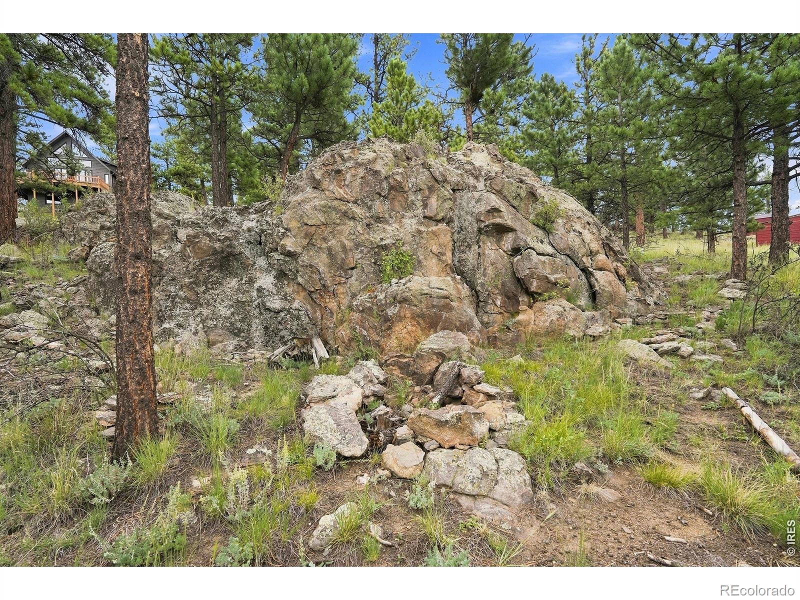 MLS Image #41 for 313  deer trail drive,bailey, Colorado