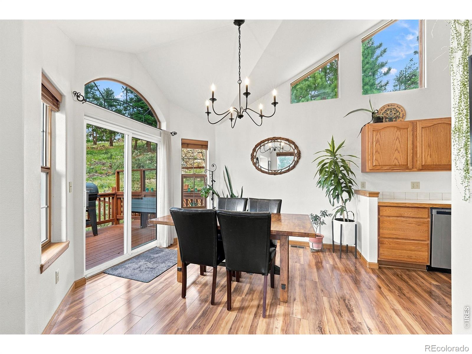 MLS Image #5 for 313  deer trail drive,bailey, Colorado