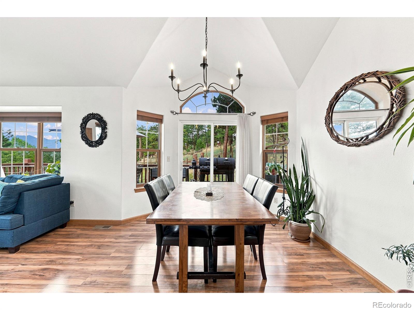 MLS Image #6 for 313  deer trail drive,bailey, Colorado