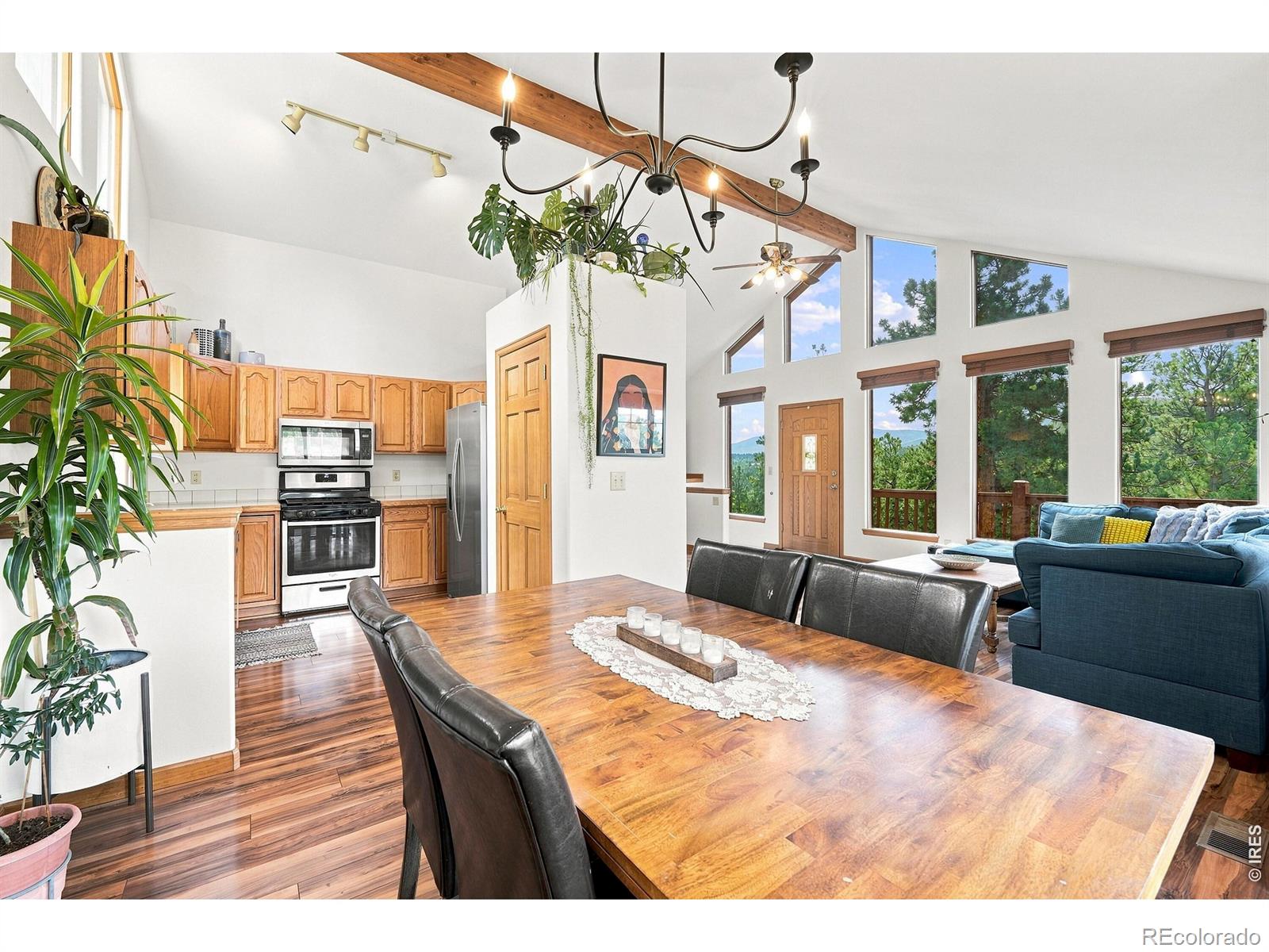MLS Image #8 for 313  deer trail drive,bailey, Colorado