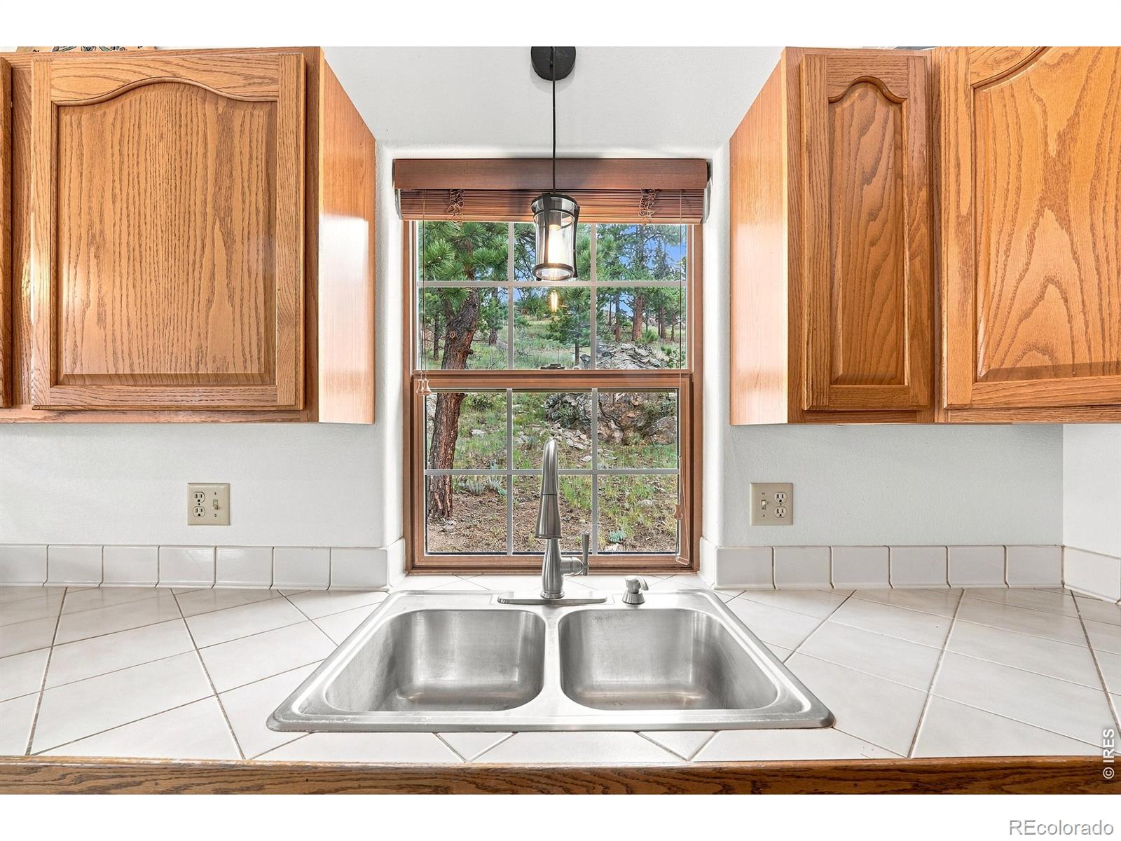 MLS Image #9 for 313  deer trail drive,bailey, Colorado