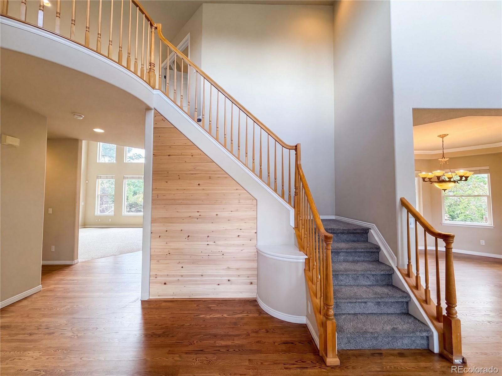 MLS Image #3 for 1138  wyndemere circle,longmont, Colorado