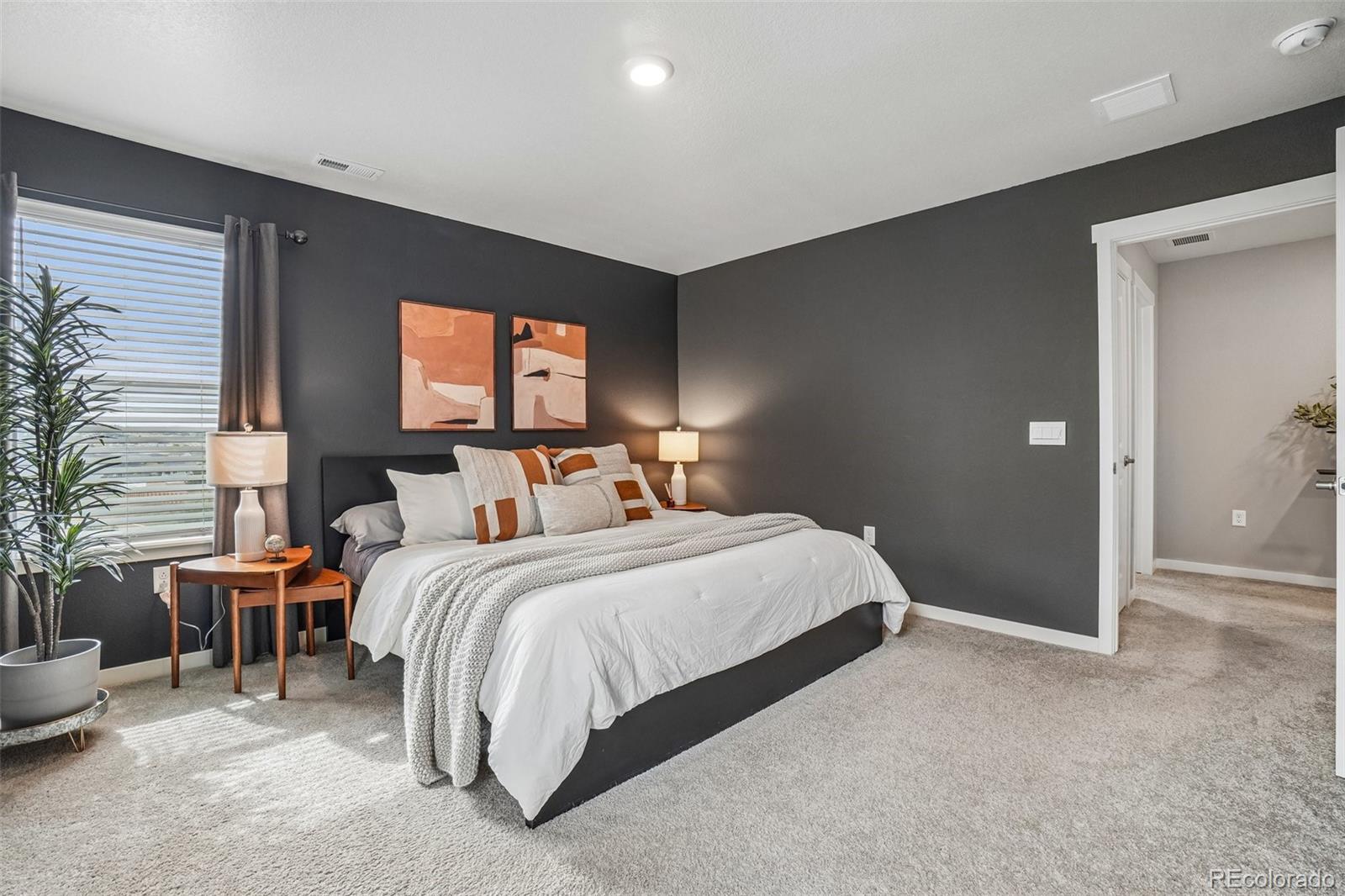 MLS Image #15 for 18028  dandy brush lane,parker, Colorado