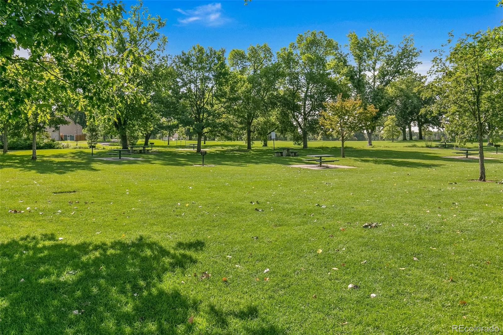 MLS Image #42 for 1561 s milwaukee street,denver, Colorado