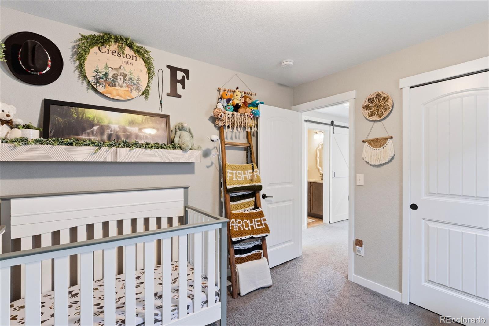 MLS Image #22 for 11368  modern meadow loop,colorado springs, Colorado