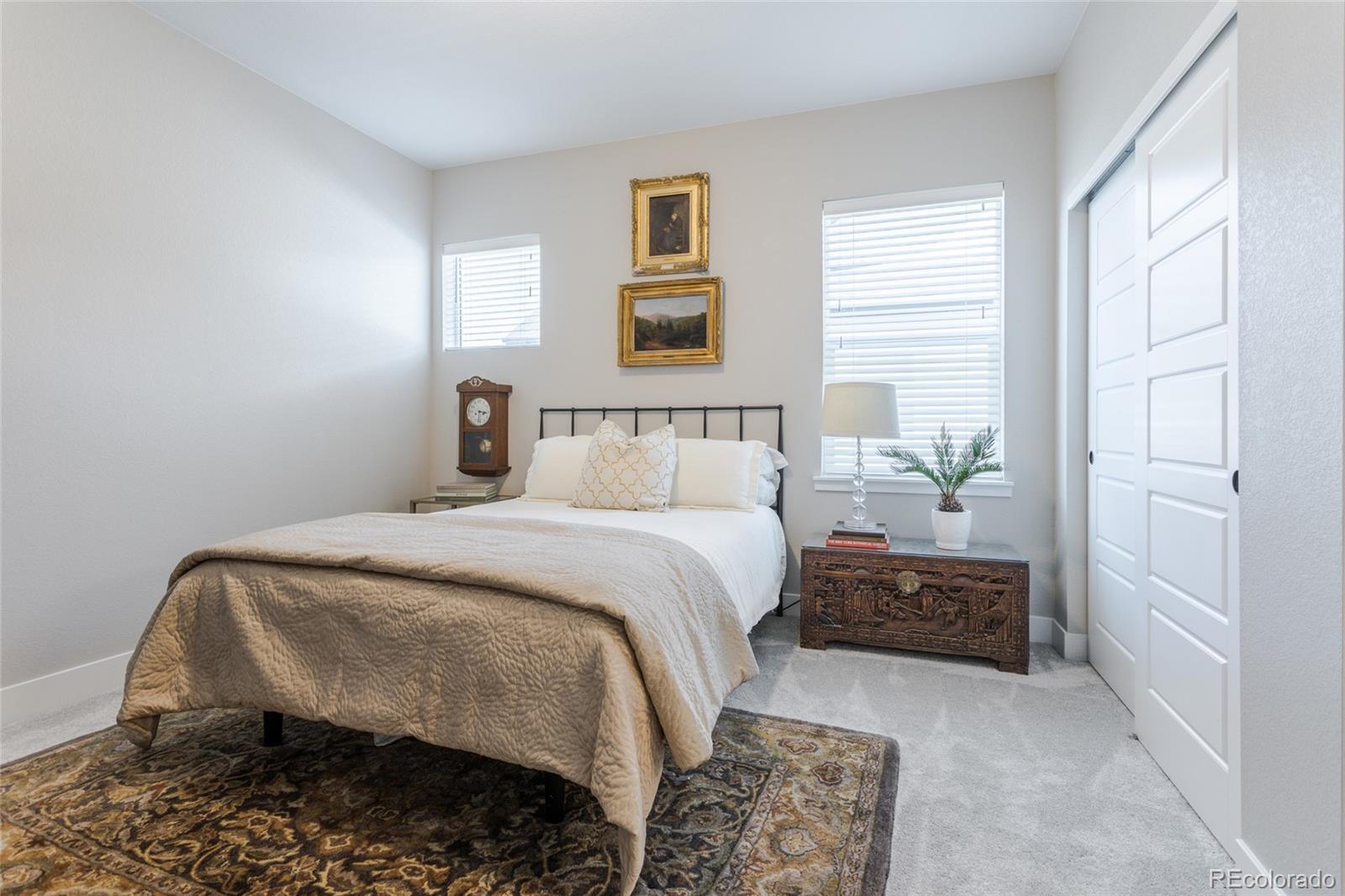 MLS Image #19 for 9759 e 62nd drive,denver, Colorado