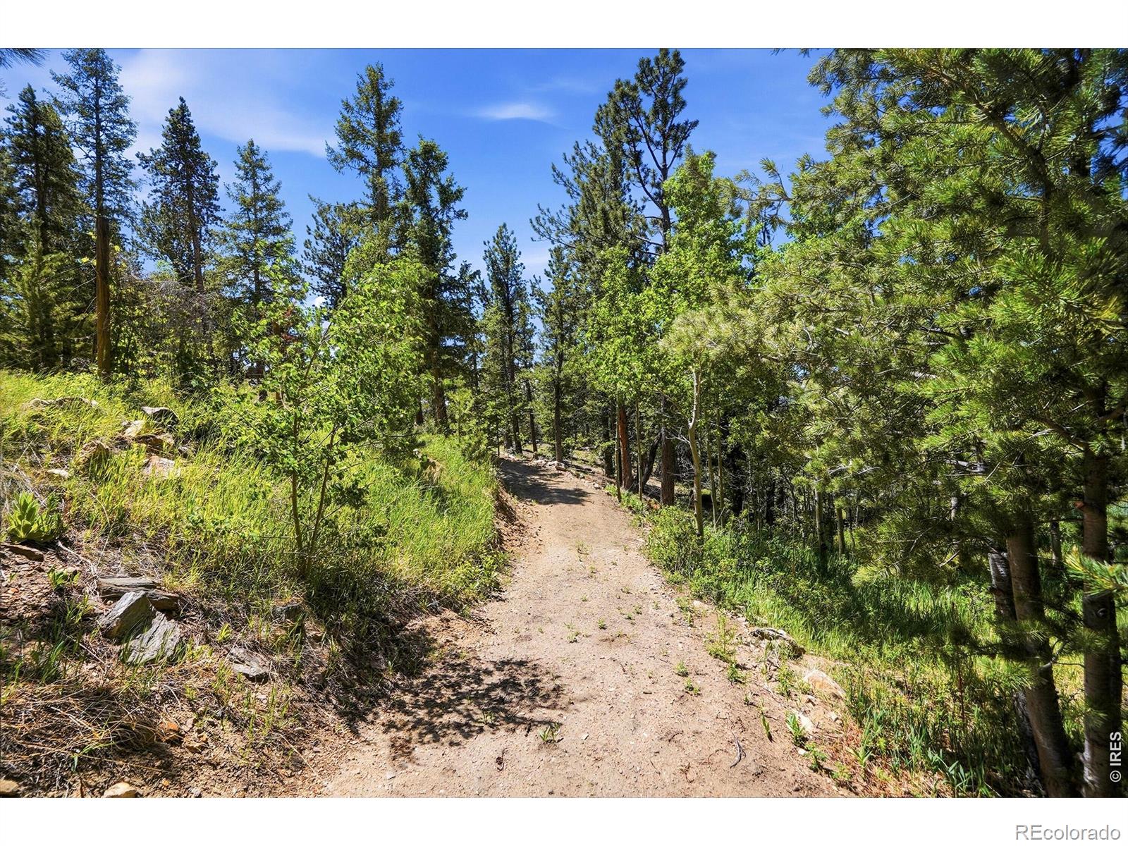 MLS Image #39 for 212  elk place,black hawk, Colorado