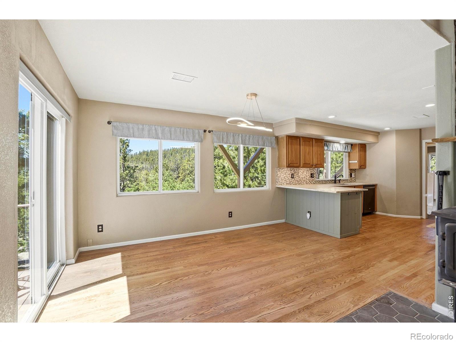 MLS Image #9 for 212  elk place,black hawk, Colorado
