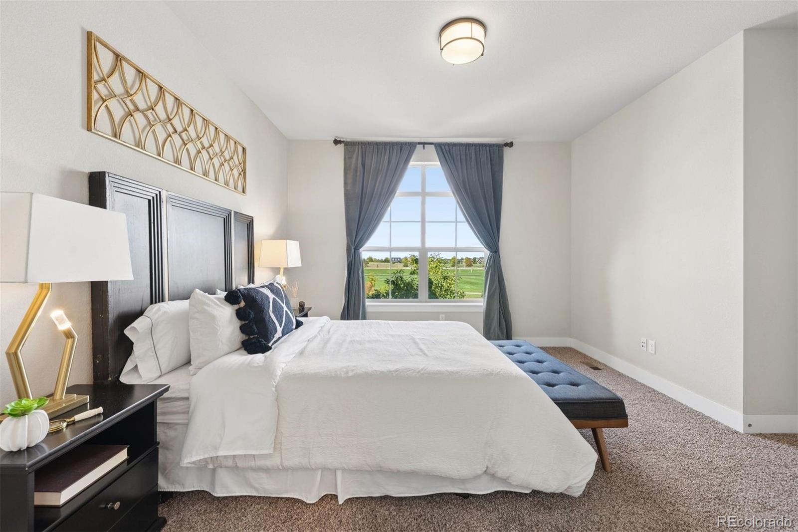 MLS Image #13 for 8994  martin luther king boulevard,denver, Colorado