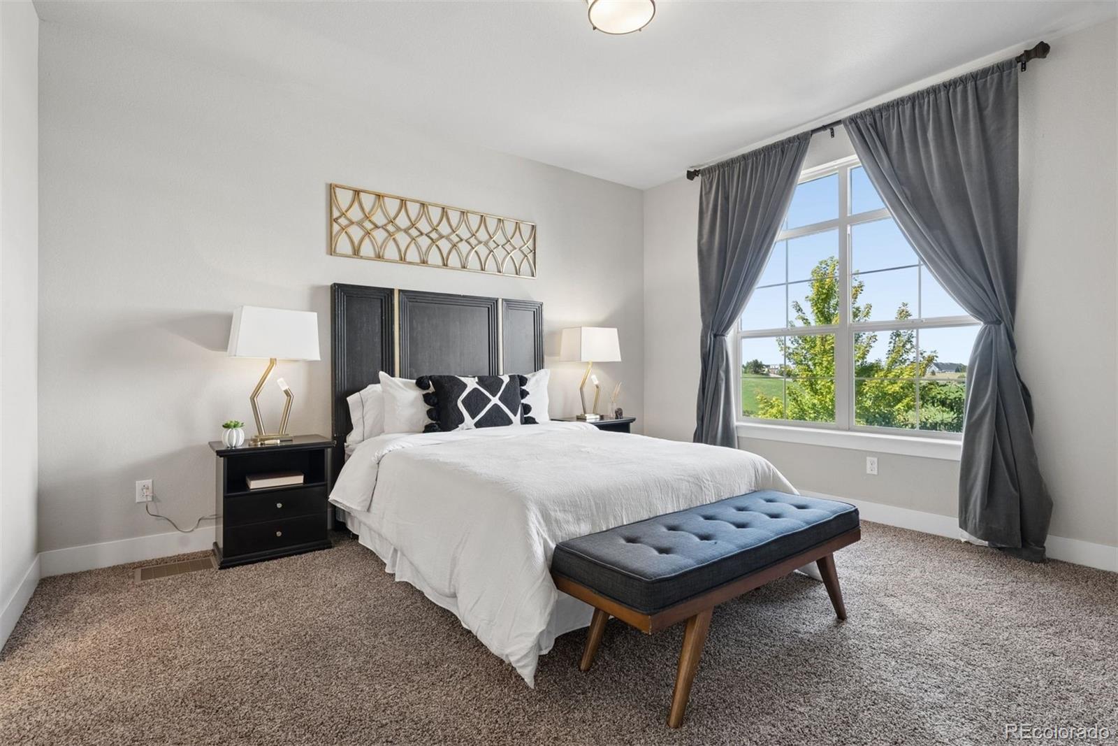 MLS Image #2 for 8994  martin luther king boulevard,denver, Colorado