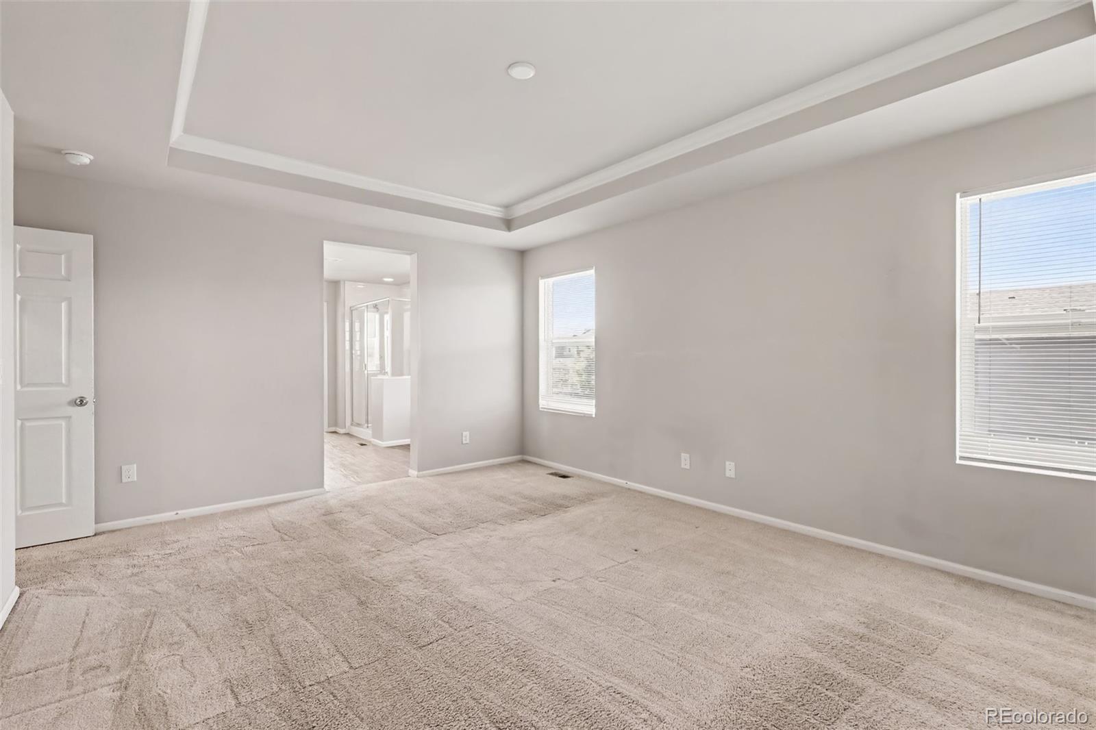 MLS Image #16 for 4709  helena street,denver, Colorado
