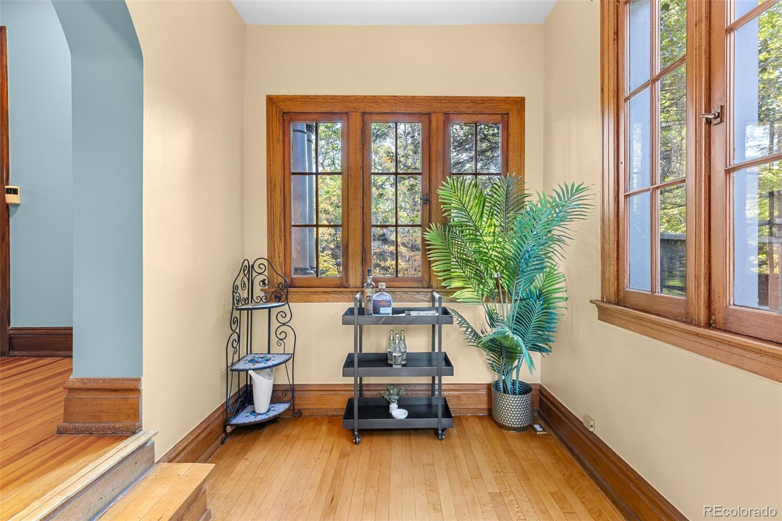 MLS Image #12 for 725 n downing street,denver, Colorado
