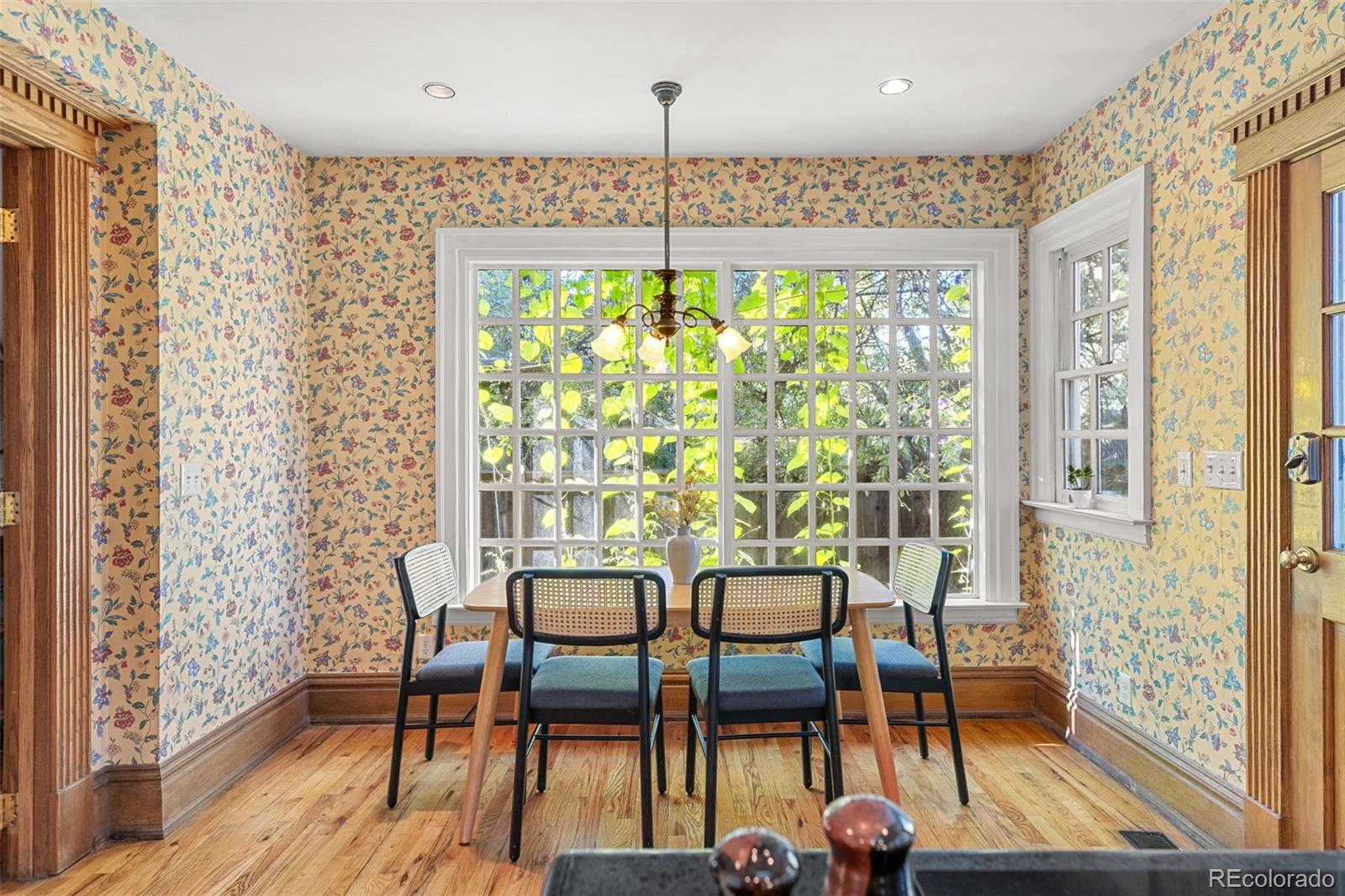MLS Image #20 for 725 n downing street,denver, Colorado
