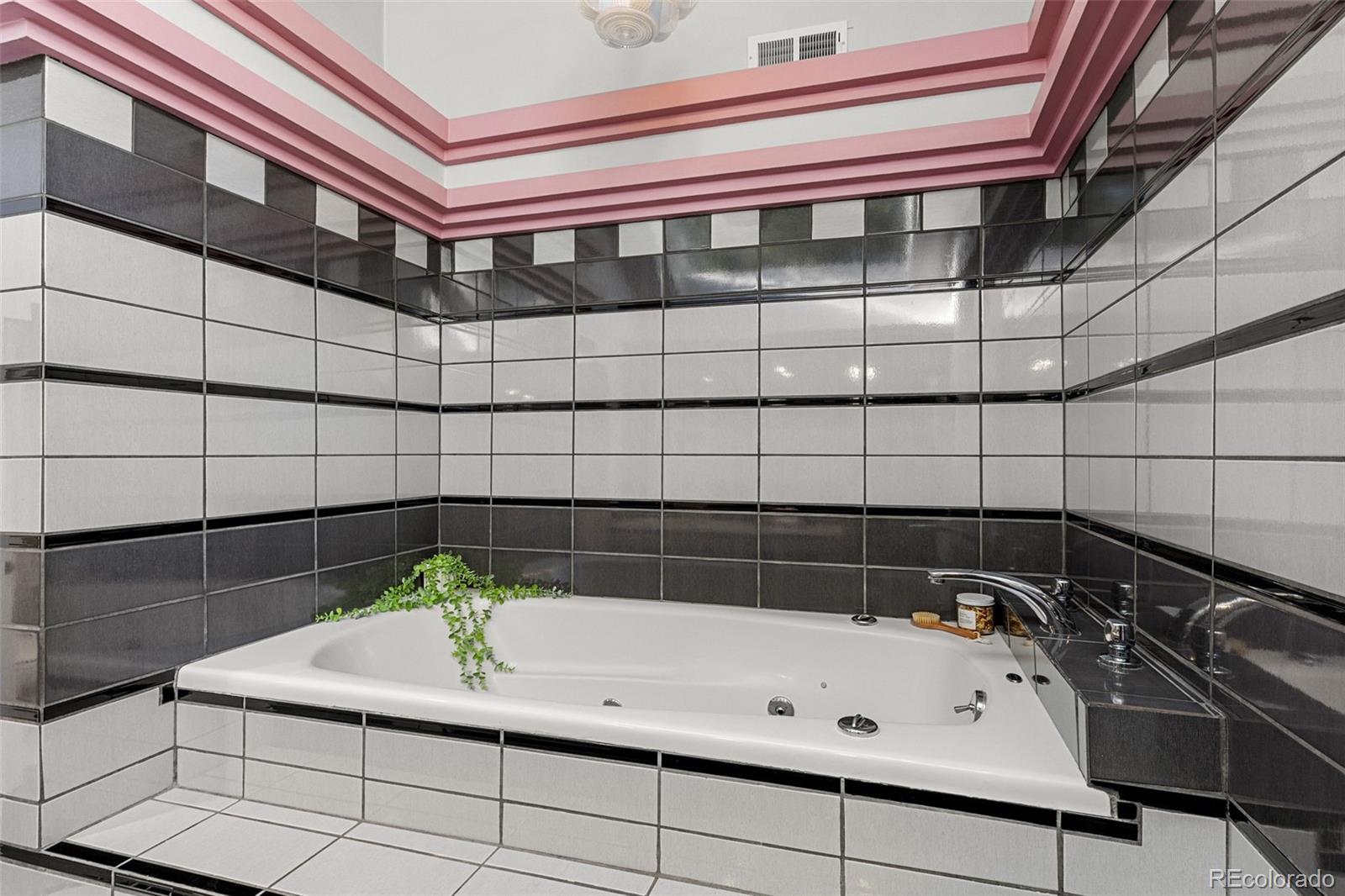 MLS Image #38 for 725 n downing street,denver, Colorado