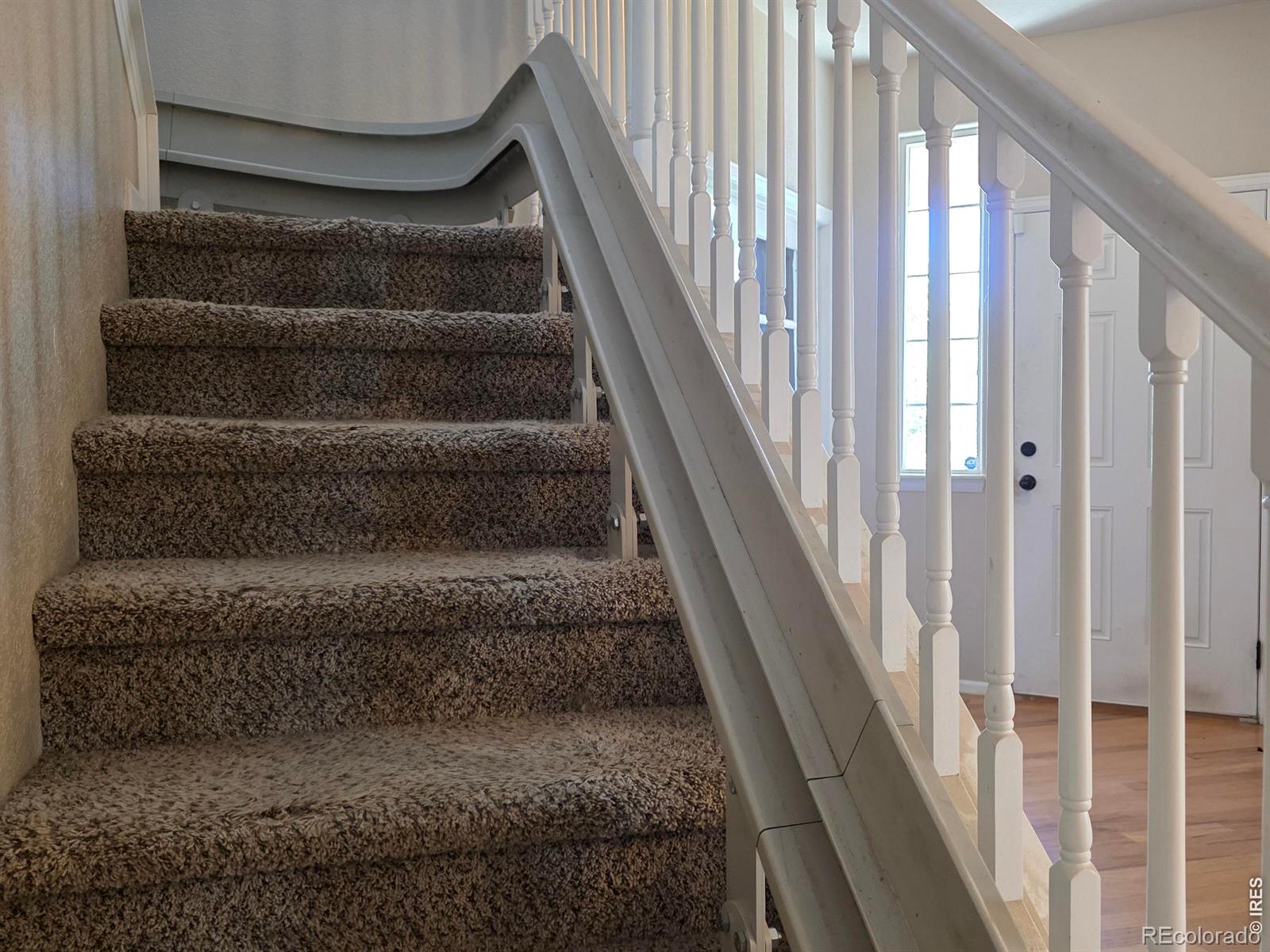 MLS Image #6 for 2054  reliance drive,windsor, Colorado