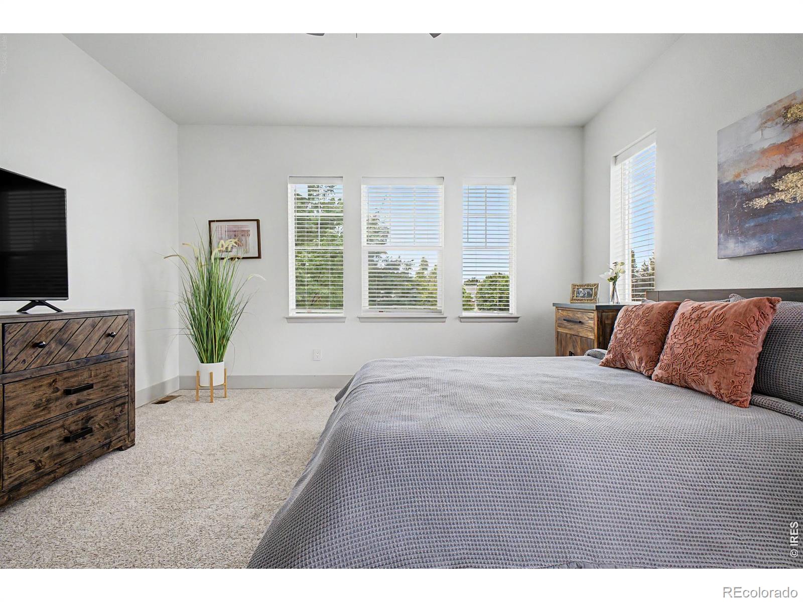 MLS Image #15 for 1424  bluemoon drive,longmont, Colorado