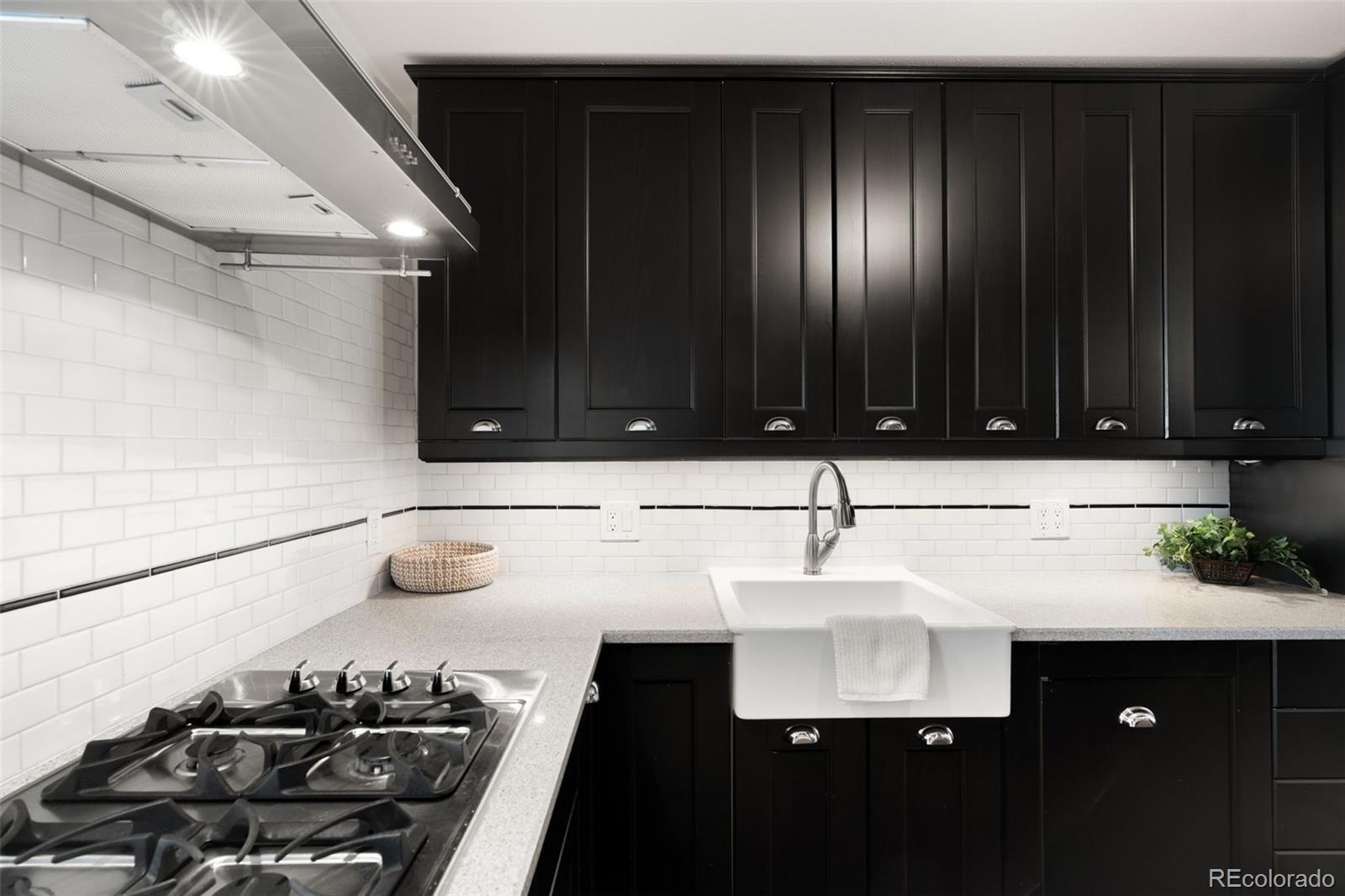 MLS Image #10 for 644 n logan street,denver, Colorado