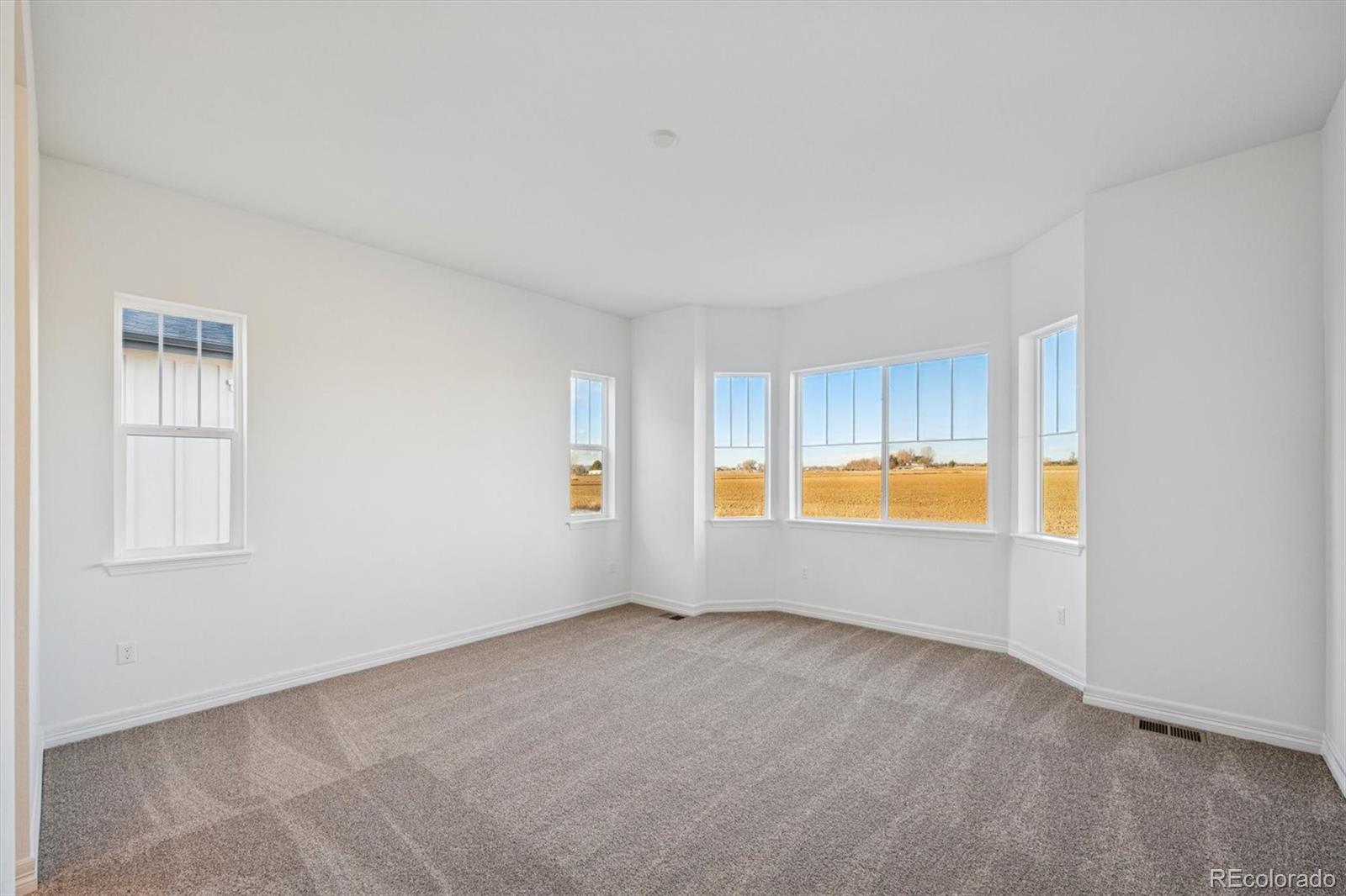 MLS Image #14 for 6108  oban road,timnath, Colorado