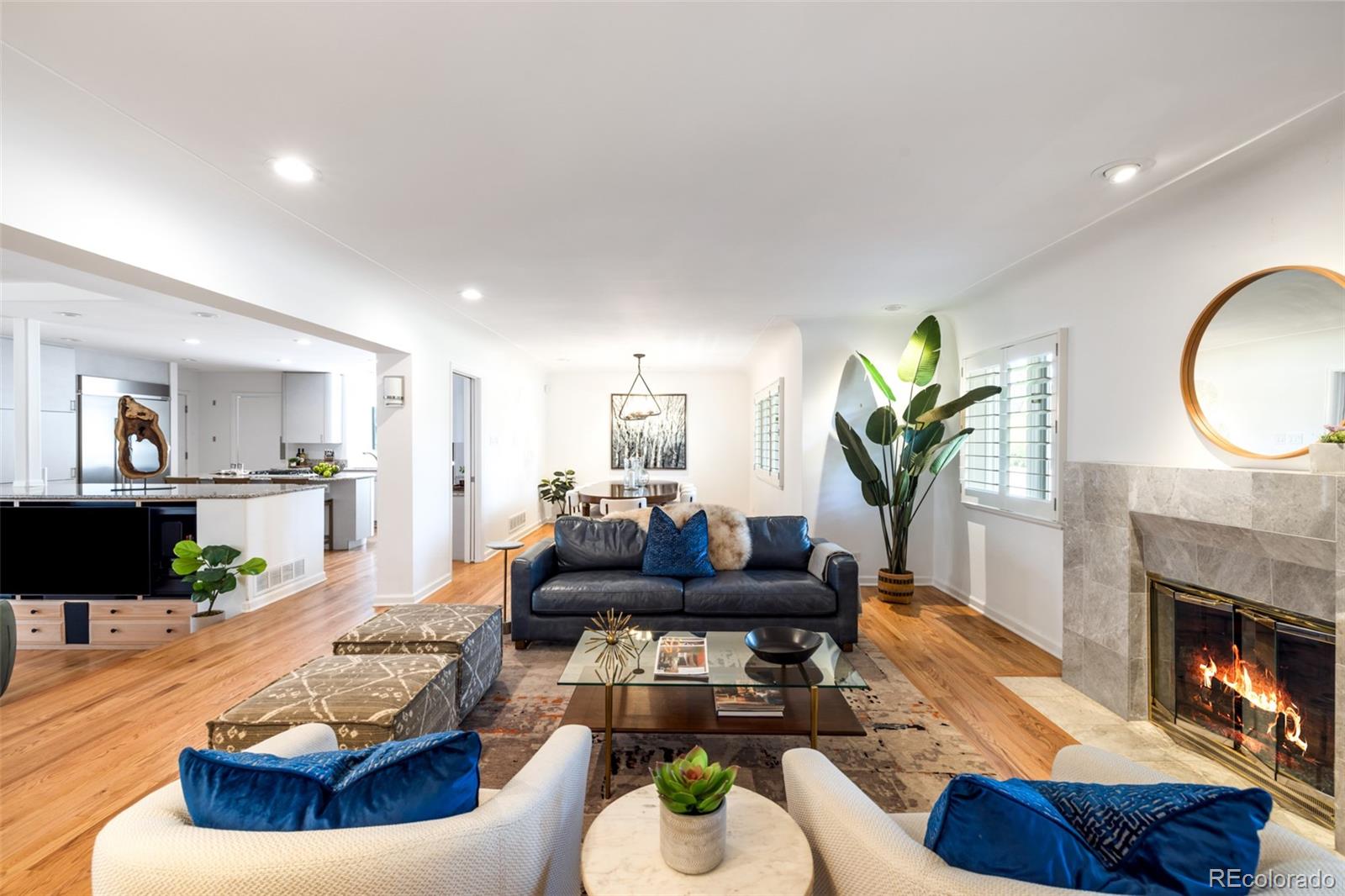 MLS Image #3 for 2  elm street,denver, Colorado