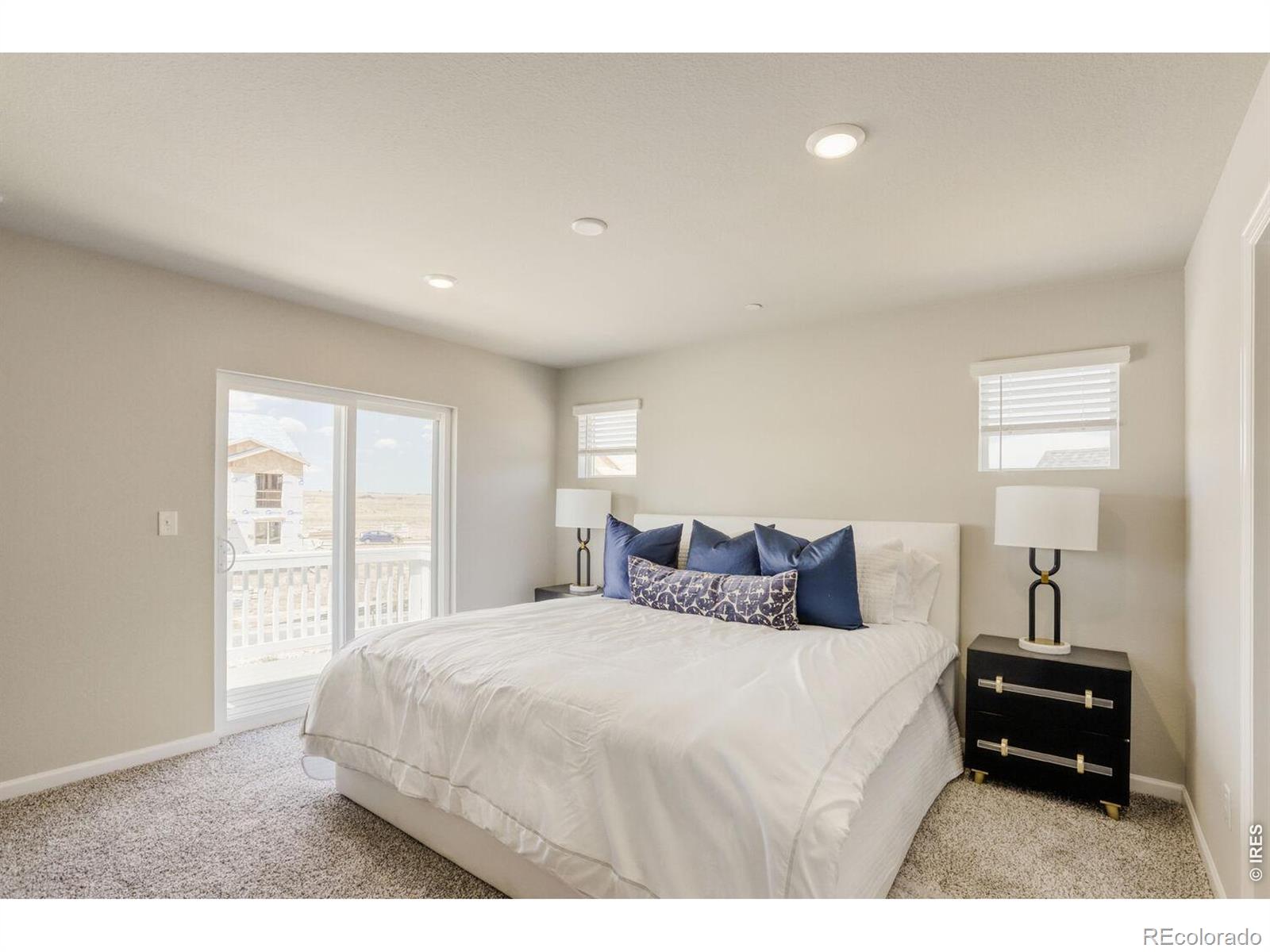 MLS Image #11 for 2416  heyworth lane,fort collins, Colorado