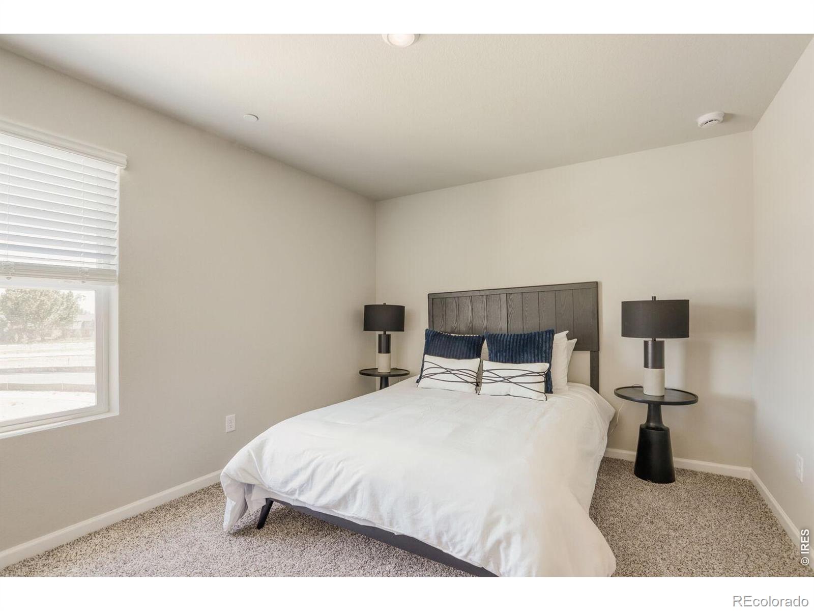MLS Image #19 for 2416  heyworth lane,fort collins, Colorado