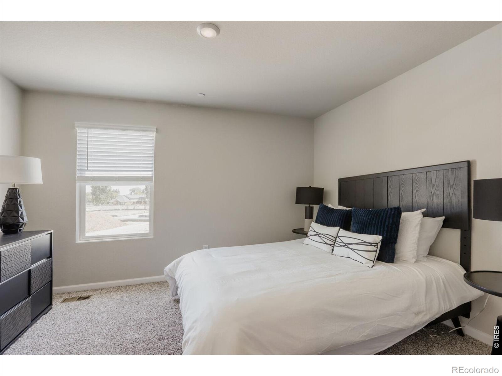 MLS Image #20 for 2416  heyworth lane,fort collins, Colorado