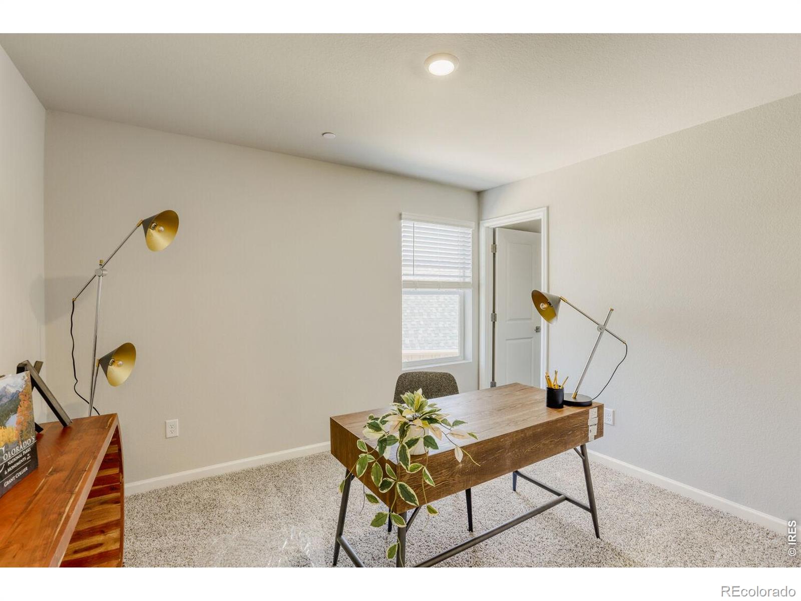 MLS Image #23 for 2416  heyworth lane,fort collins, Colorado