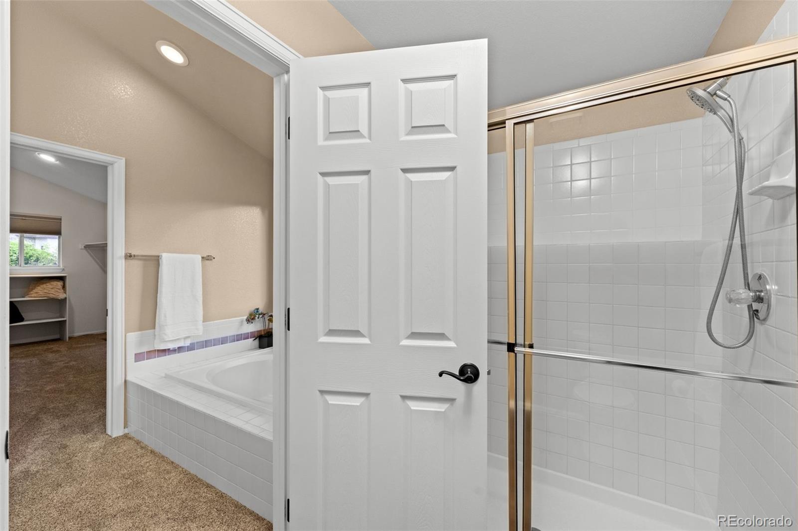 MLS Image #22 for 41  mc intyre court,golden, Colorado