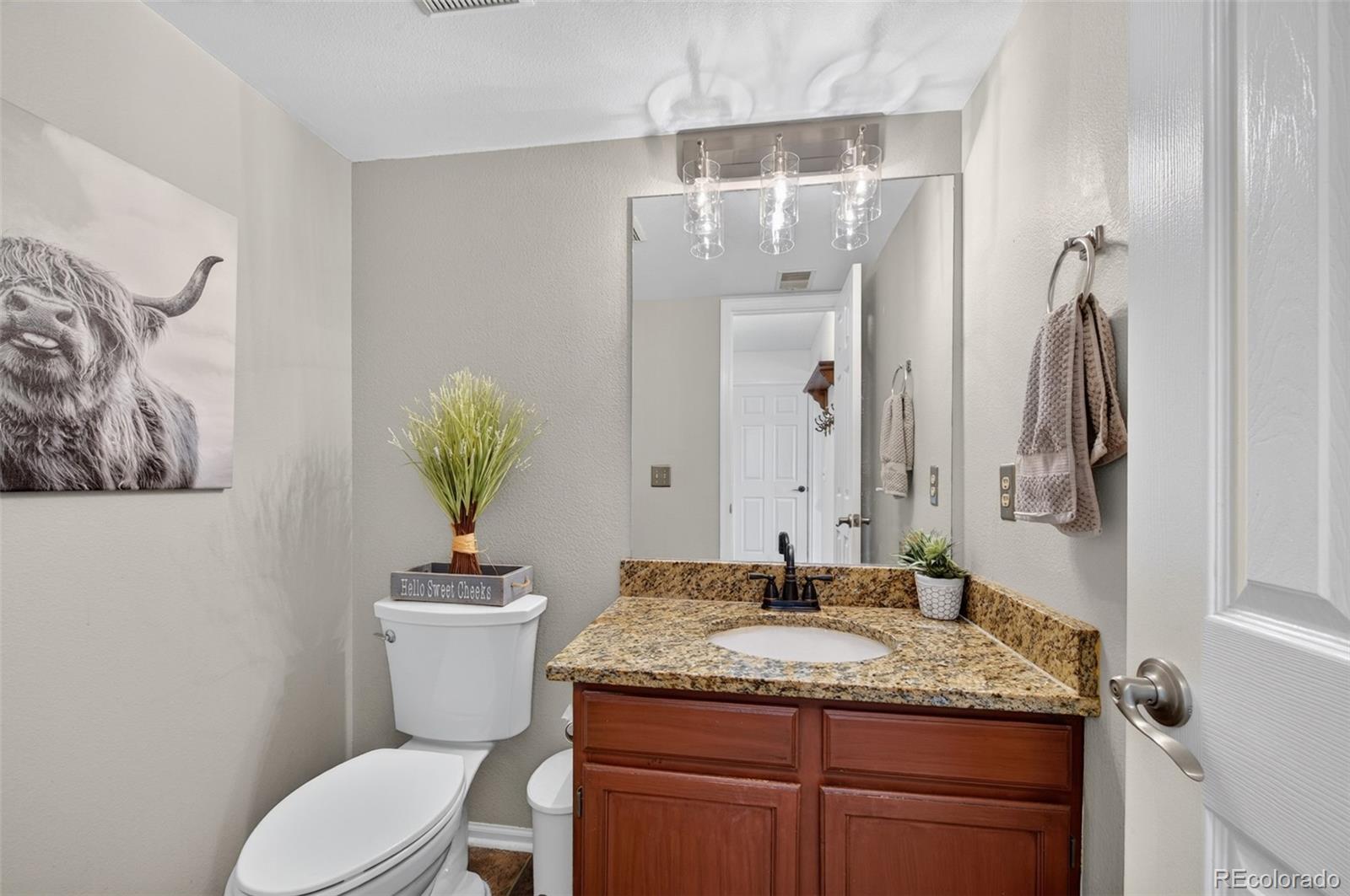 MLS Image #10 for 6363  laguna circle,highlands ranch, Colorado
