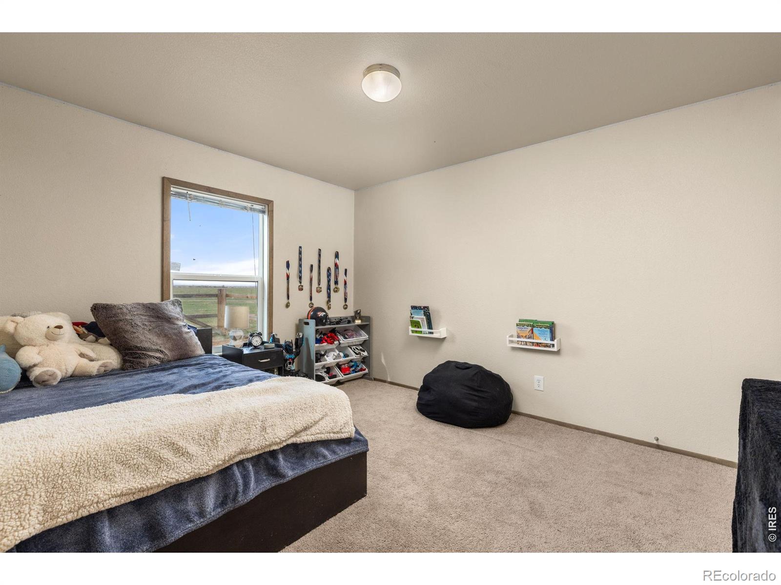 MLS Image #23 for 10395  county road 112 ,carr, Colorado