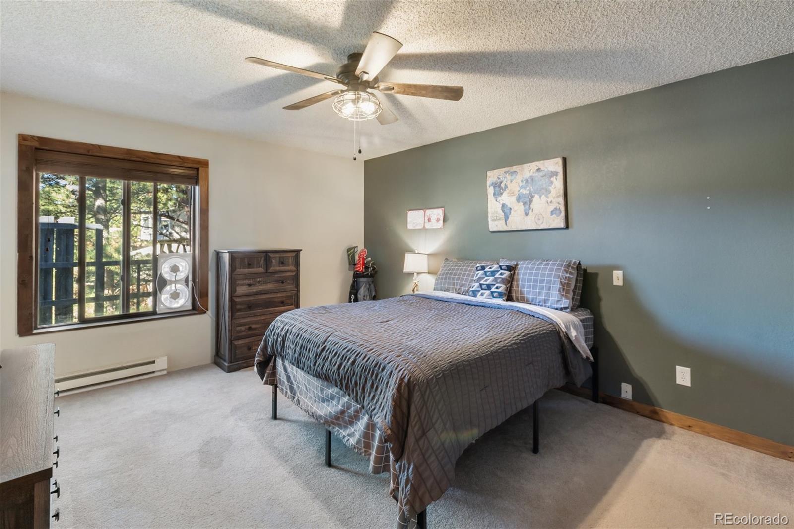 MLS Image #11 for 208  illini drive,woodland park, Colorado