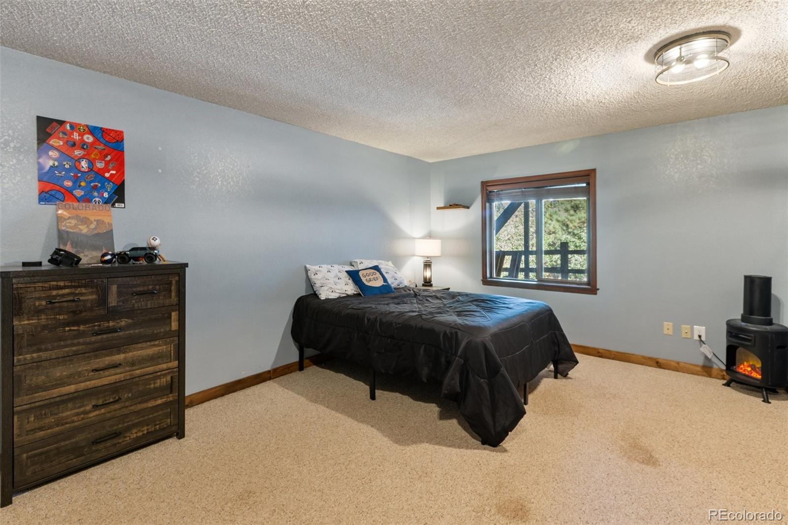 MLS Image #18 for 208  illini drive,woodland park, Colorado