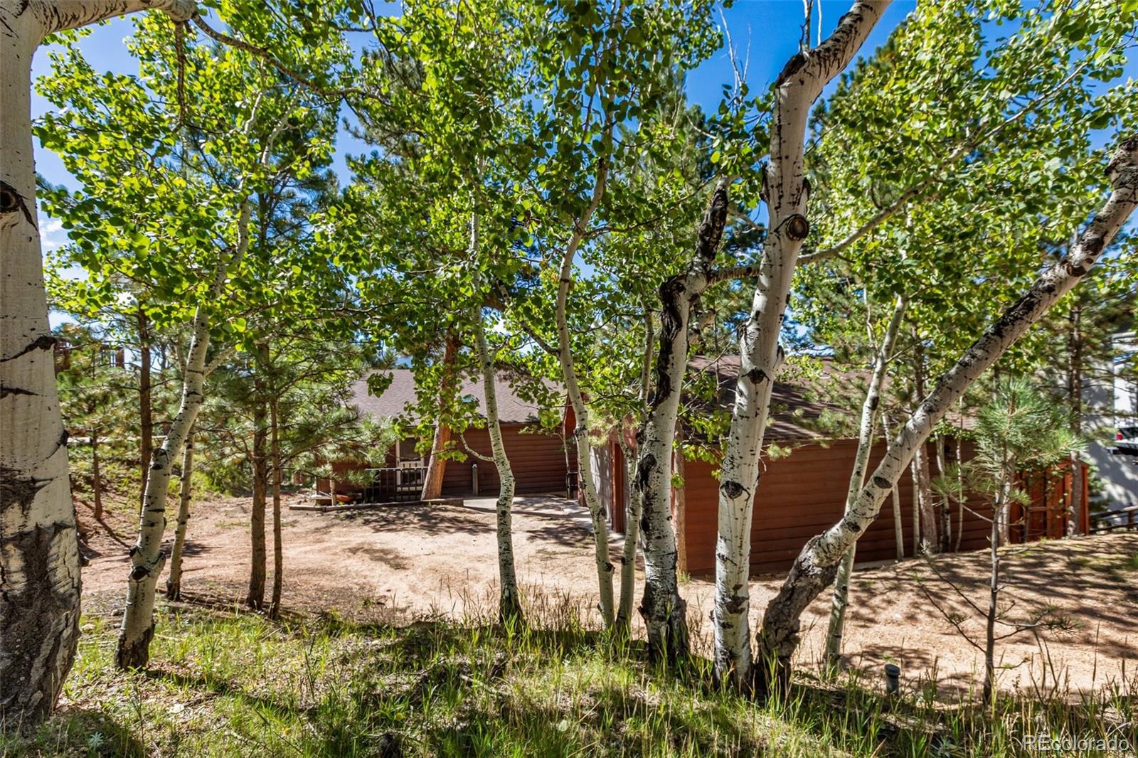 MLS Image #2 for 208  illini drive,woodland park, Colorado