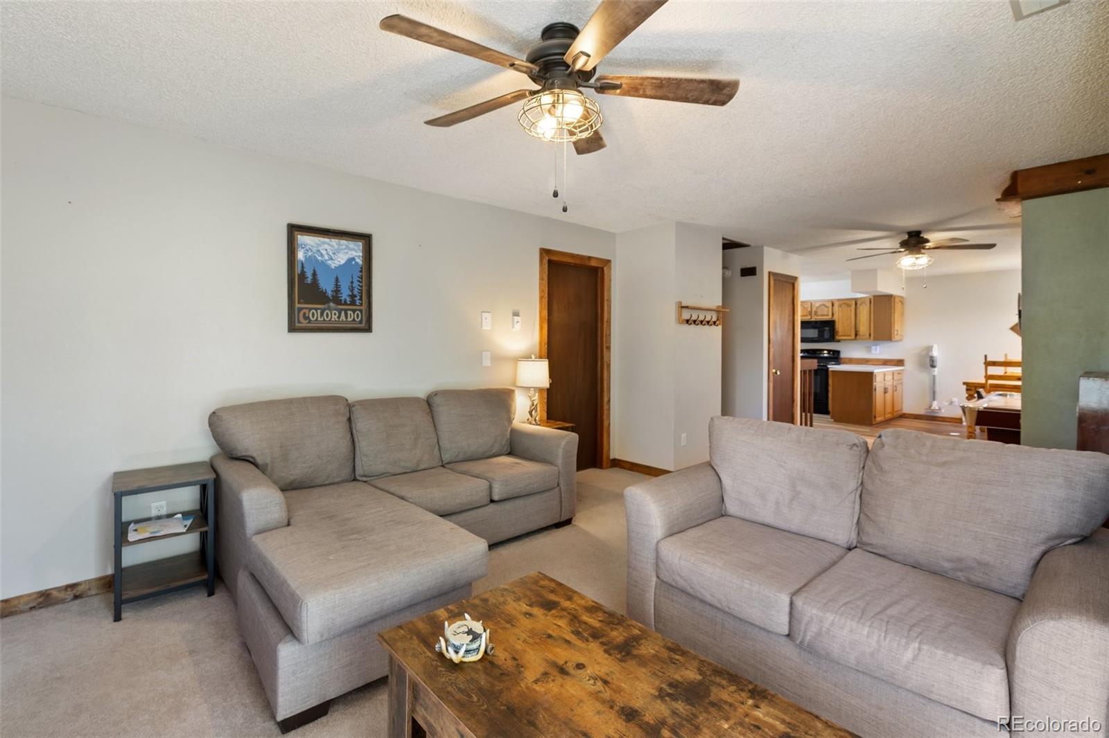 MLS Image #3 for 208  illini drive,woodland park, Colorado