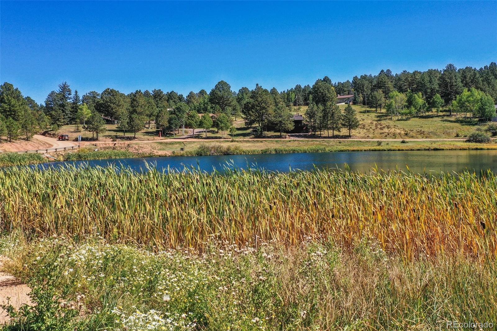 MLS Image #33 for 208  illini drive,woodland park, Colorado