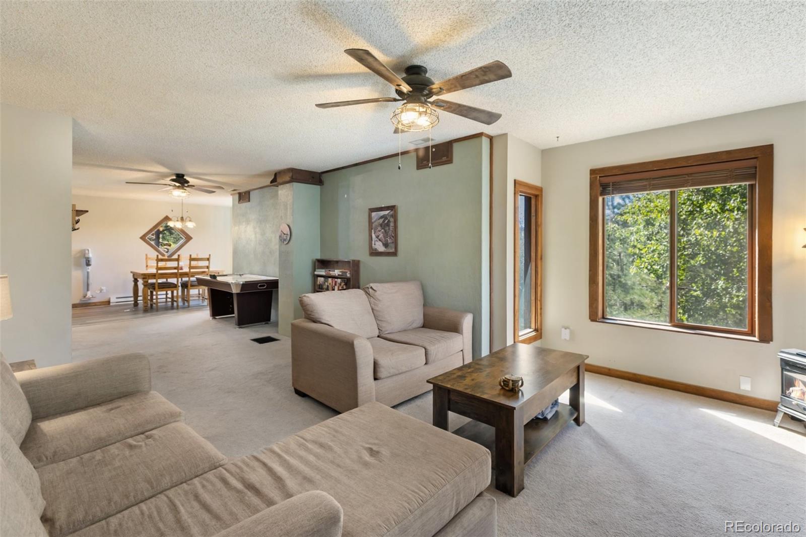 MLS Image #4 for 208  illini drive,woodland park, Colorado
