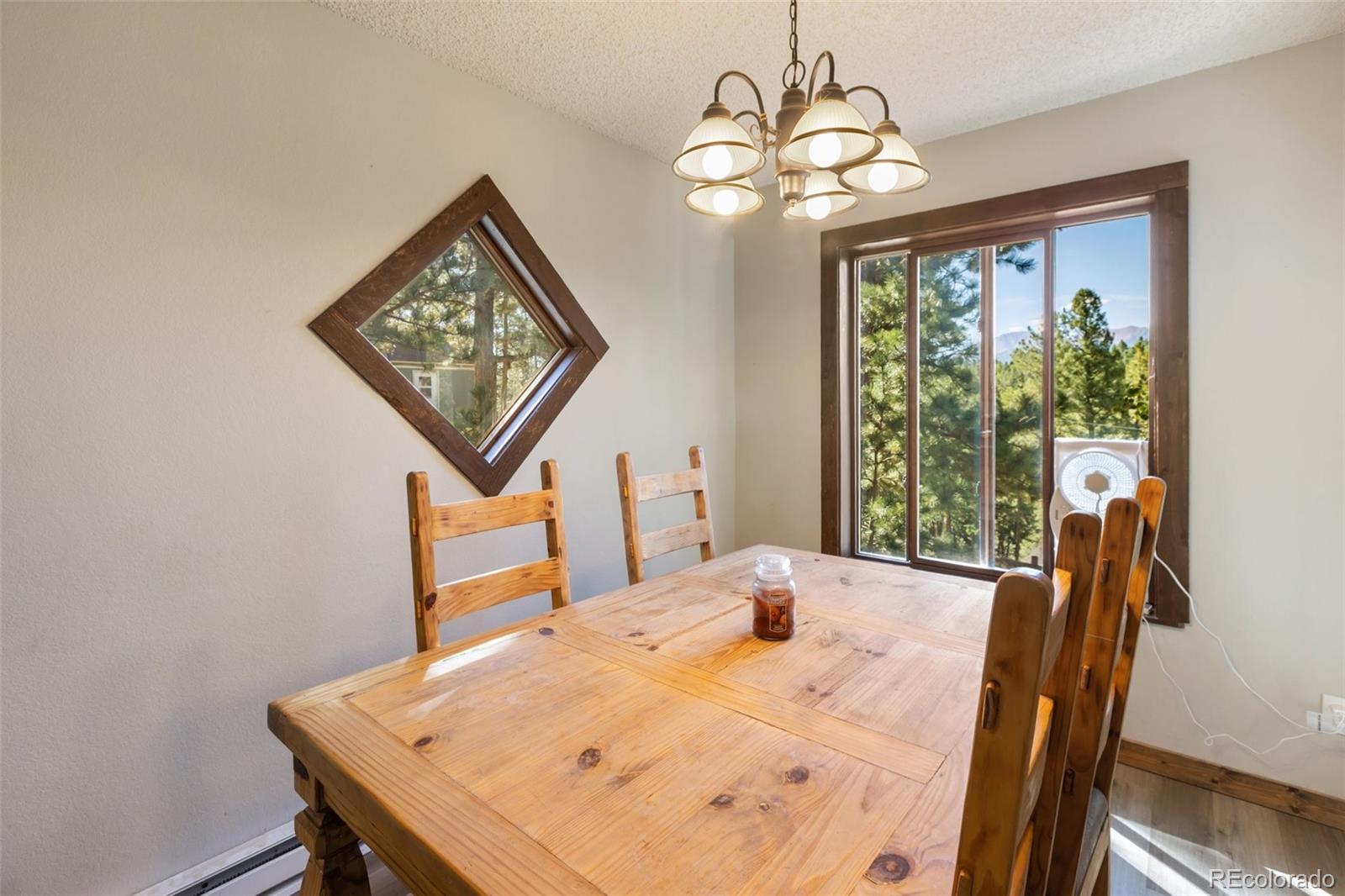 MLS Image #6 for 208  illini drive,woodland park, Colorado