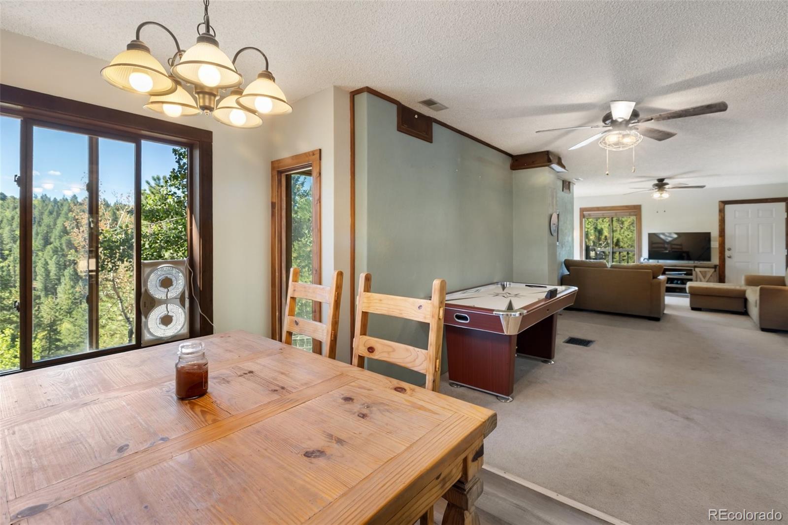 MLS Image #7 for 208  illini drive,woodland park, Colorado