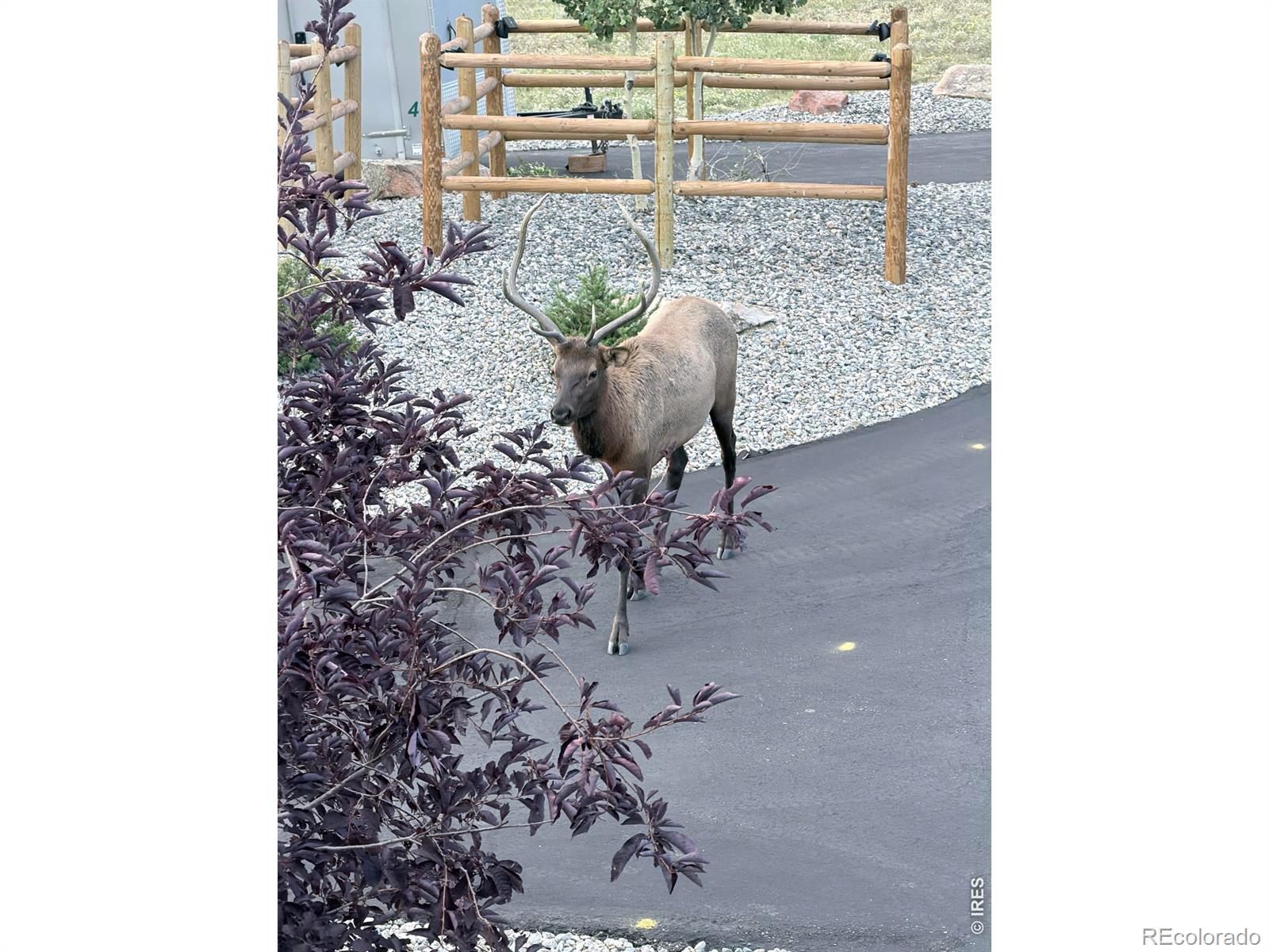 MLS Image #49 for 2840  kiowa trail,estes park, Colorado