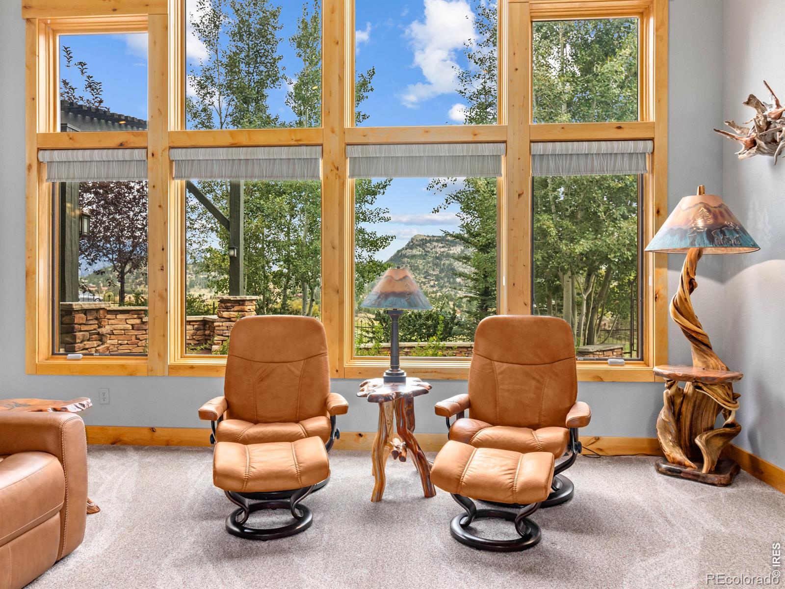 MLS Image #8 for 2840  kiowa trail,estes park, Colorado