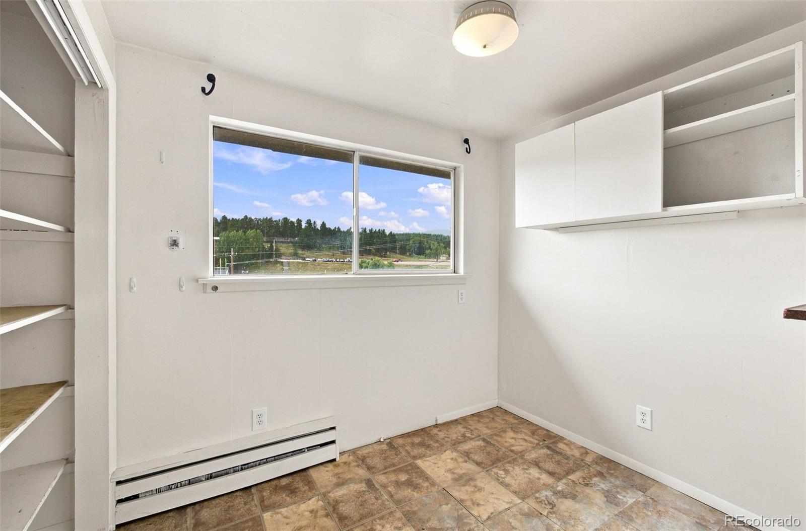 MLS Image #10 for 29183  valley view road,evergreen, Colorado